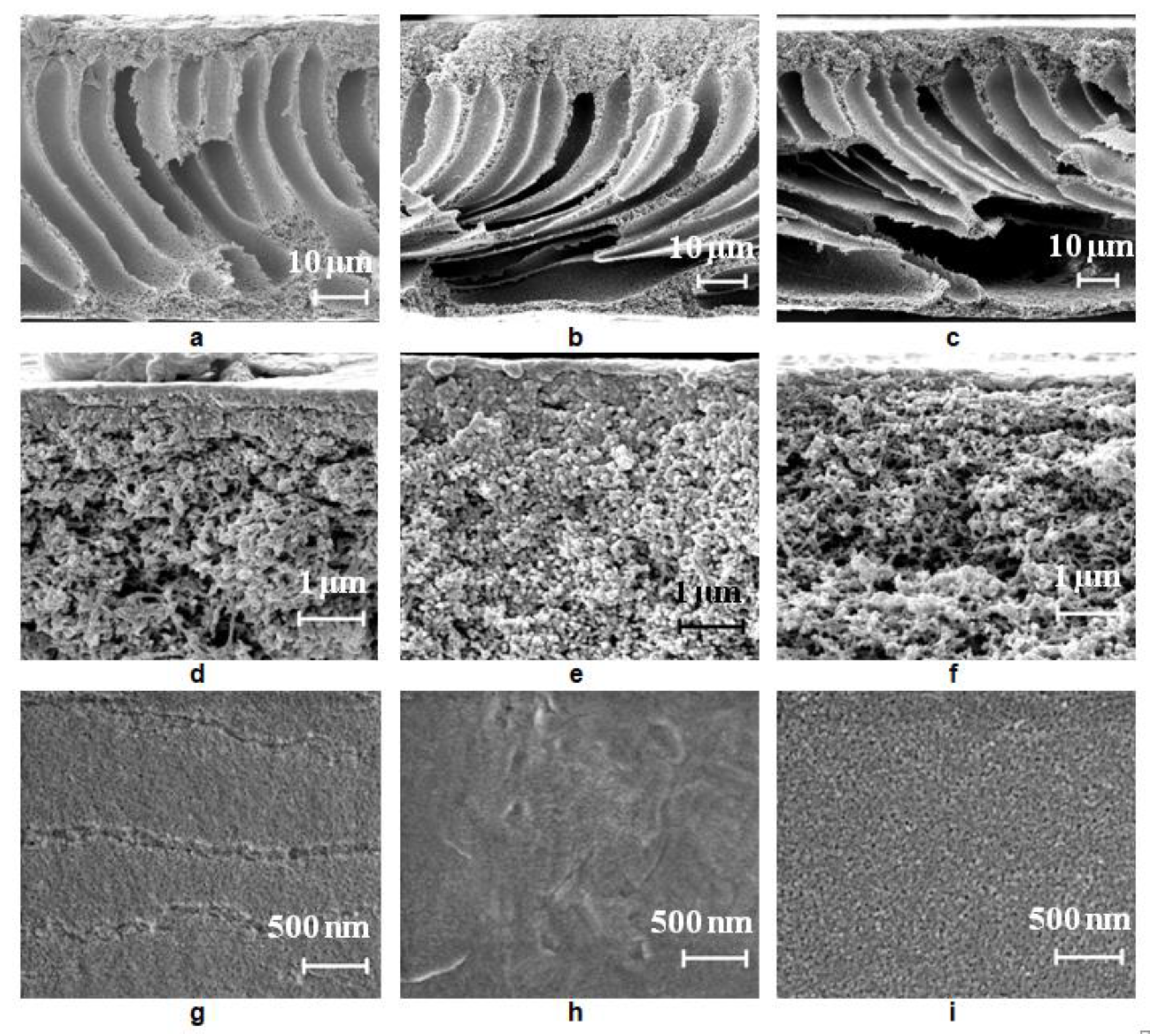 Polymers 12 01017 g006 Polymers 12 01017 g006