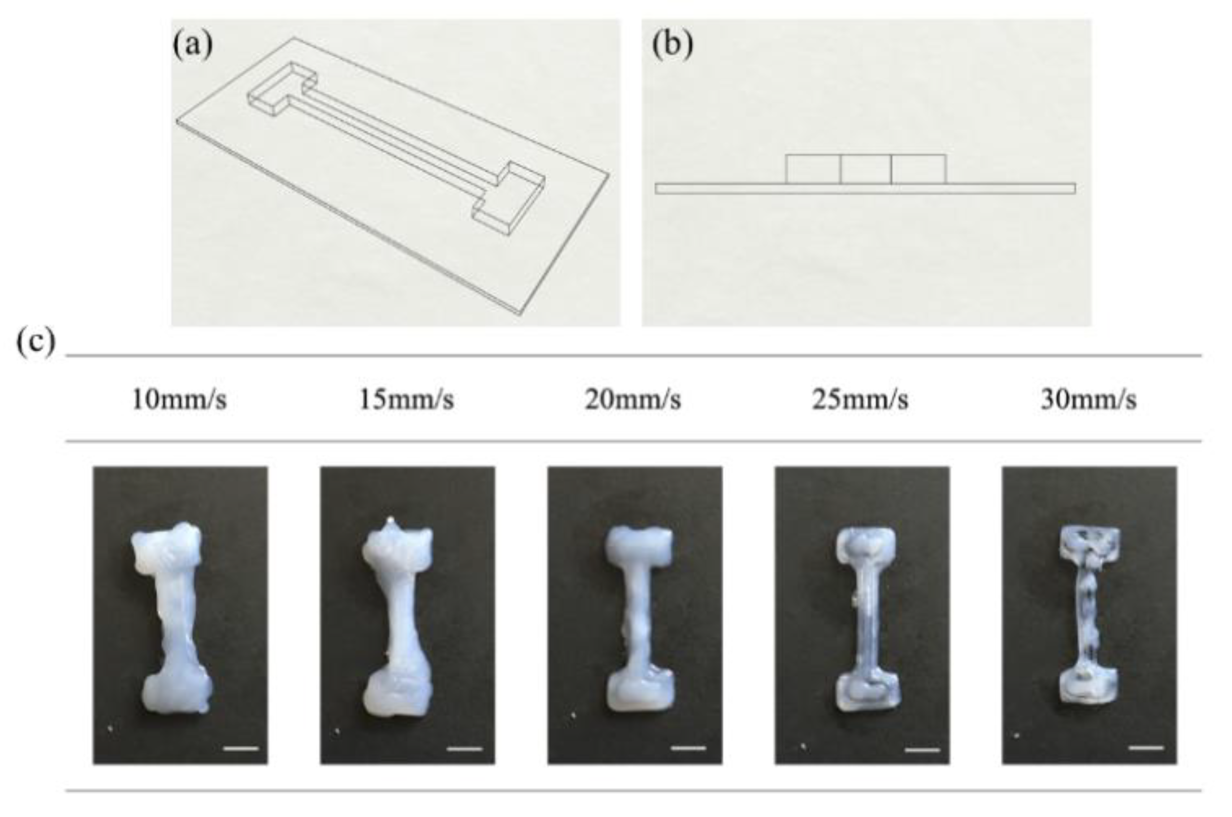 Polymers Free Full Text 3d Direct Printing Of Silicone Meniscus Implant Using A Novel Heat Cured Extrusion Based Printer Html