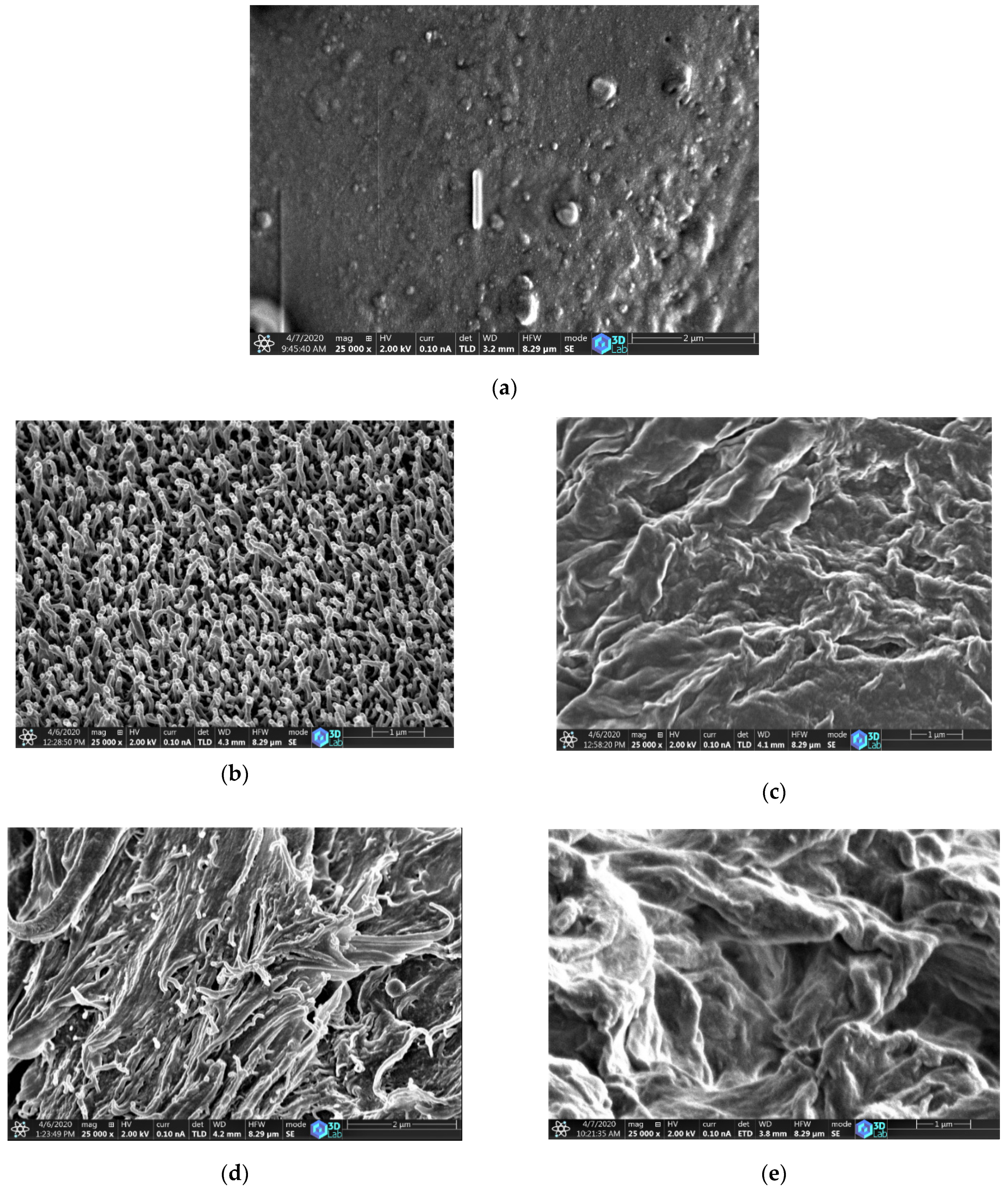Polymers 12 01065 g007 Polymers 12 01065 g007