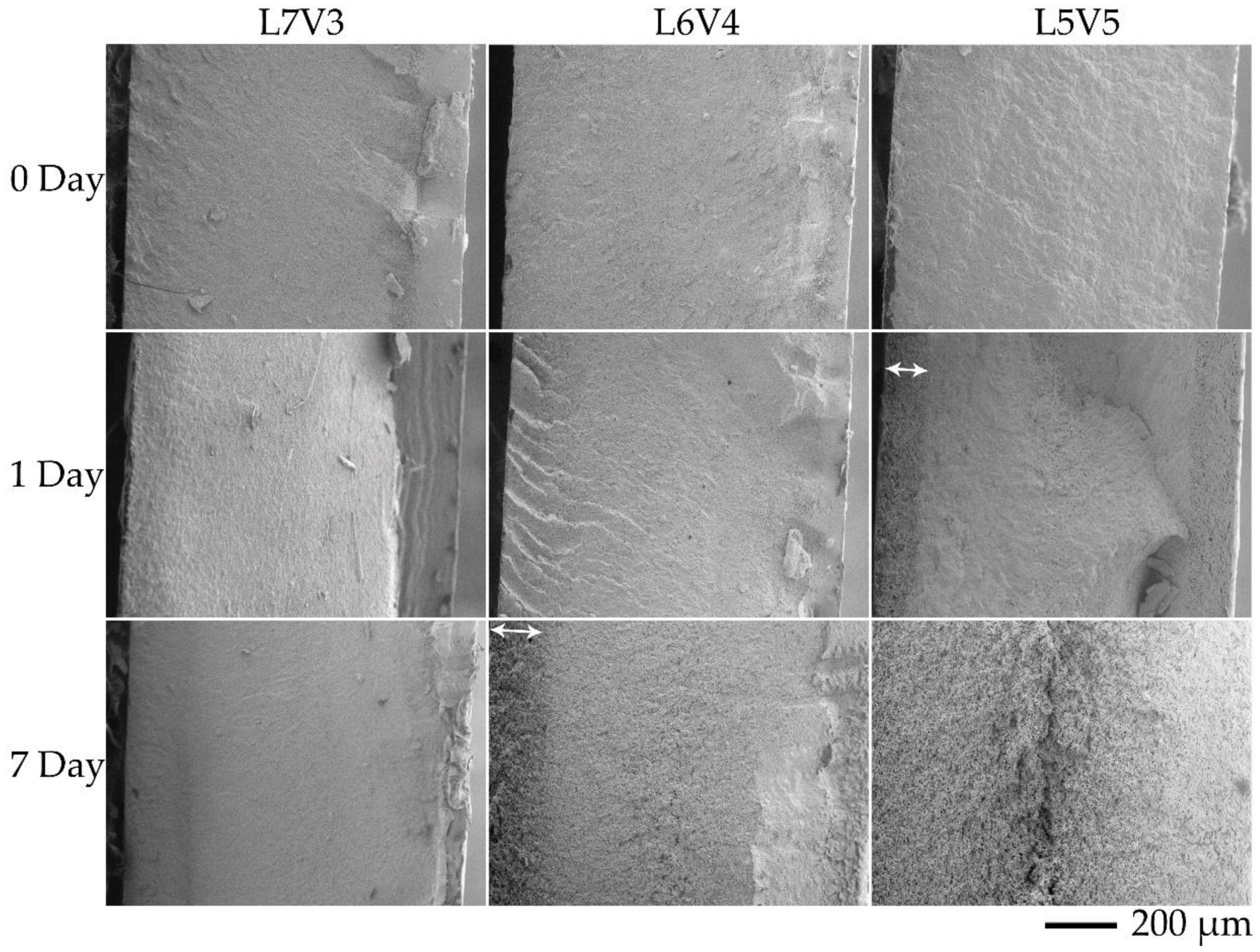Polymers 12 01083 g008