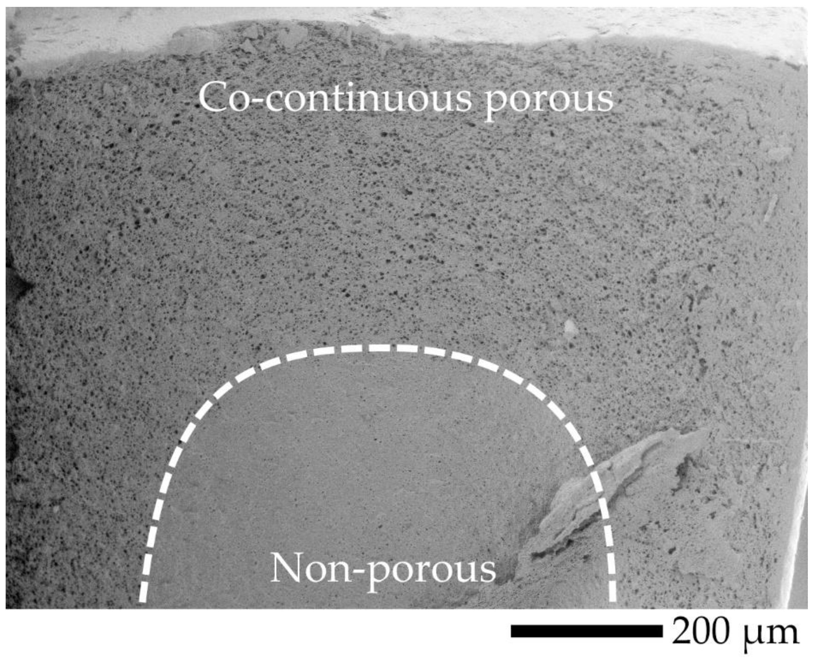 Polymers 12 01083 g009