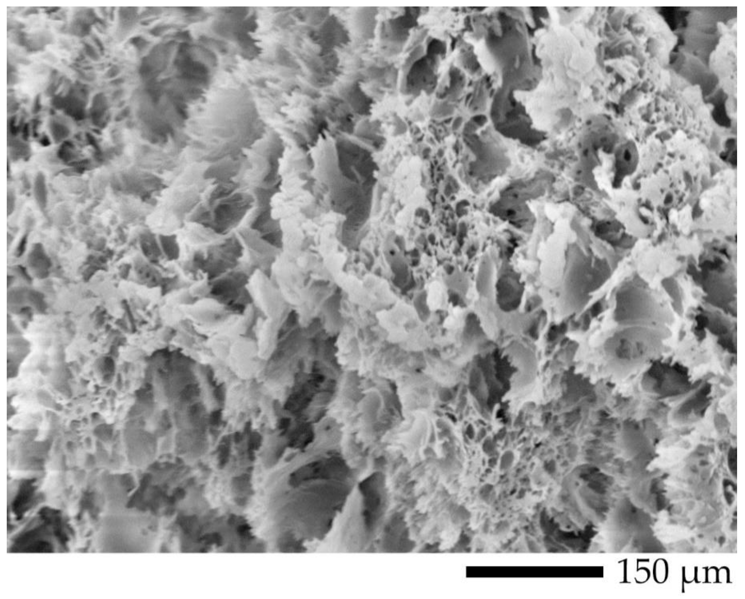 Polymers 12 01083 g018