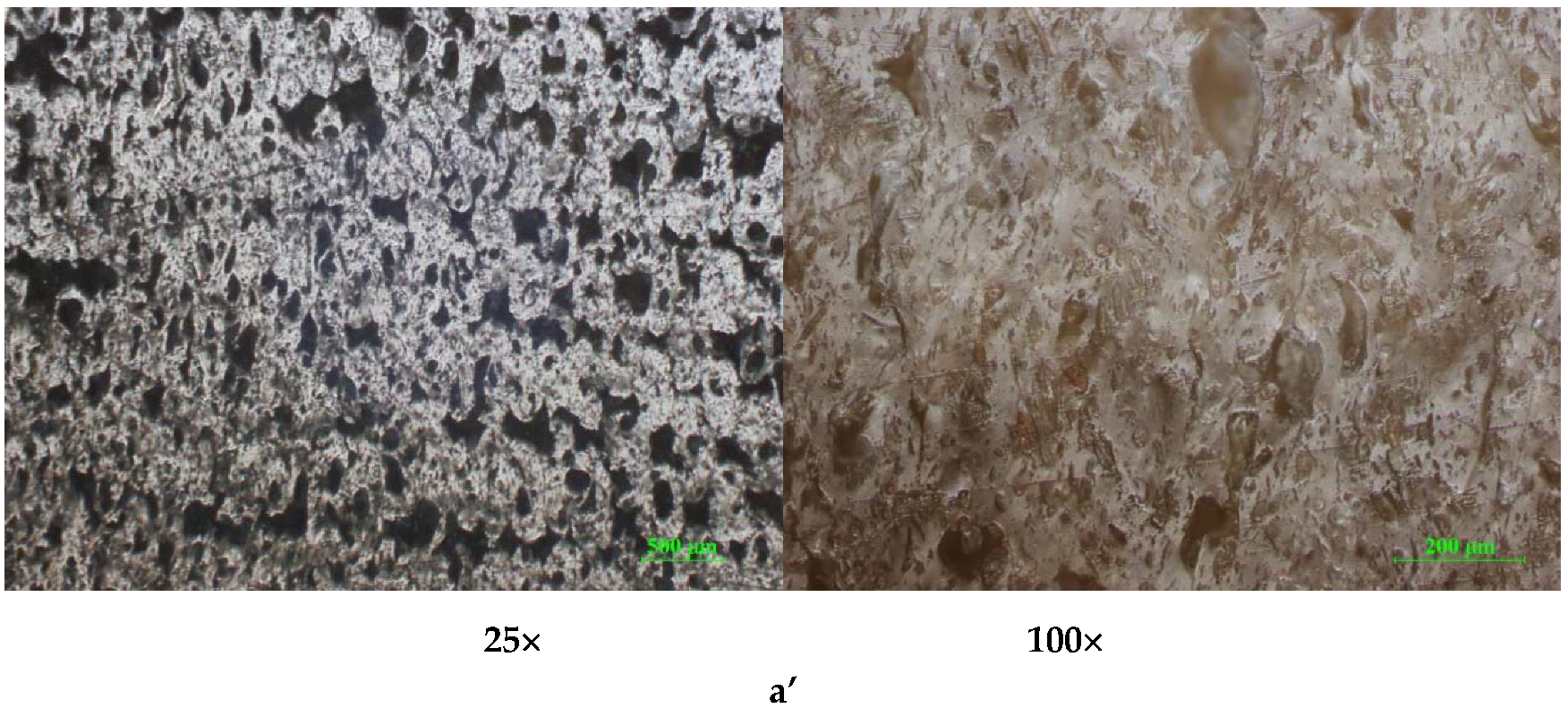 Polymers 12 01129 g013b Polymers 12 01129 g013b