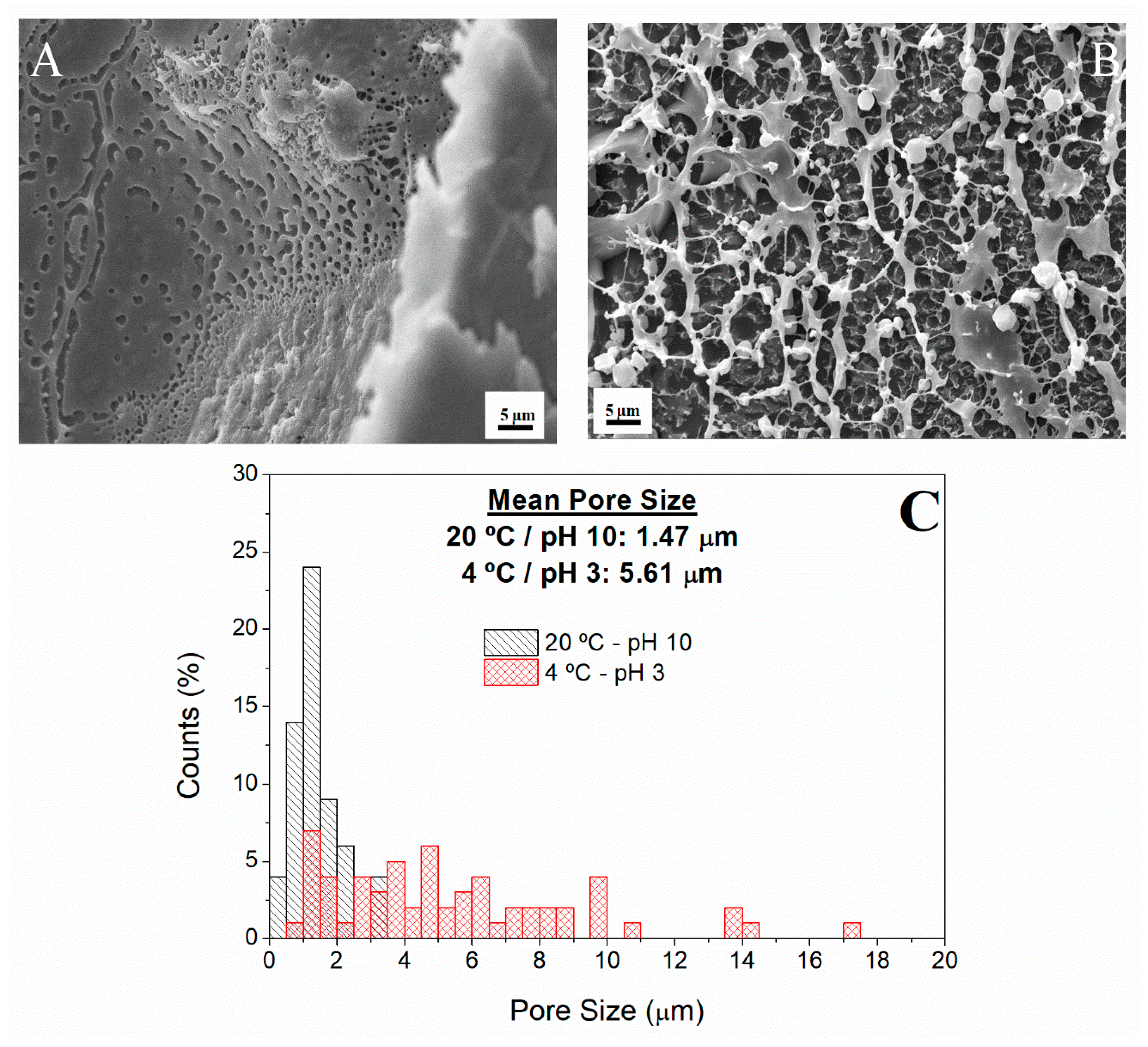 Polymers 12 01146 g005 Polymers 12 01146 g005