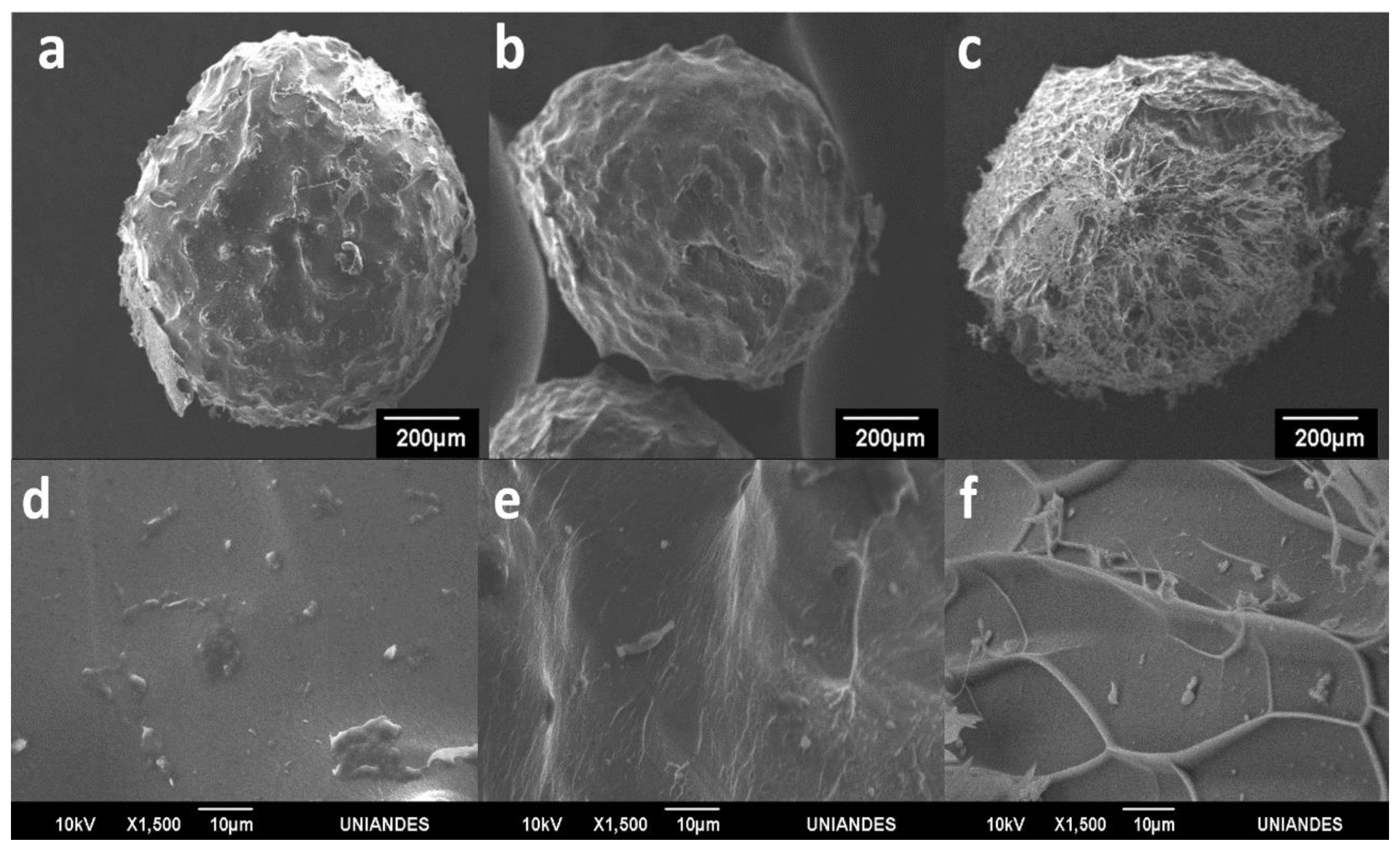 Polymers 12 01158 g007 Polymers 12 01158 g007