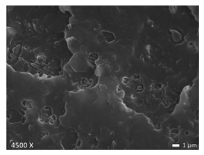 Polymers 12 01171 i001