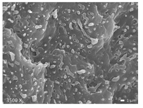 Polymers 12 01171 i002