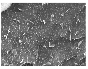 Polymers 12 01171 i005