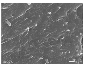 Polymers 12 01171 i006