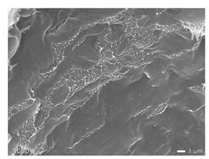 Polymers 12 01171 i008