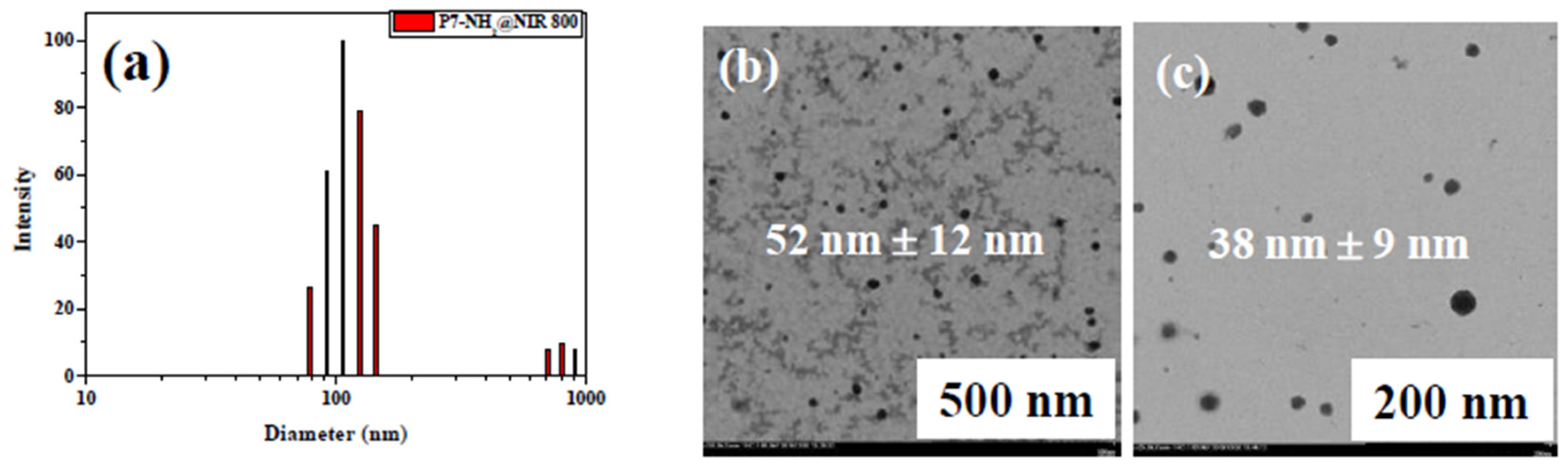 Polymers 12 01181 g005