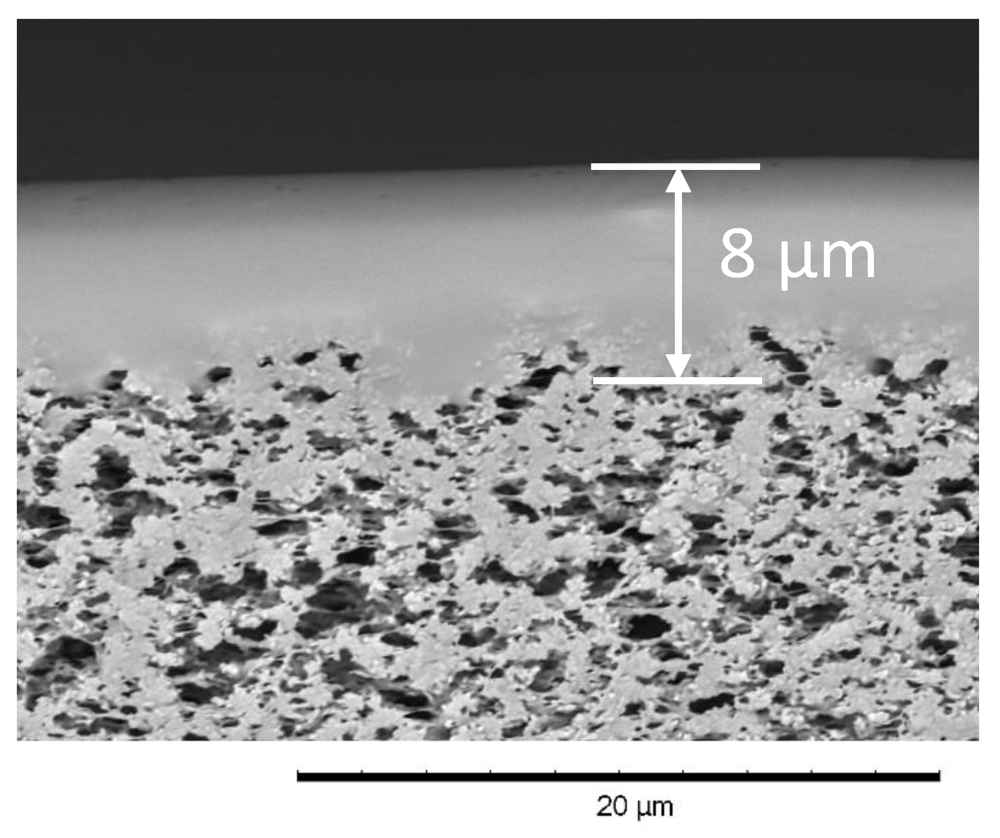 Polymers 12 01213 g005