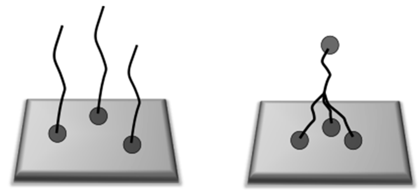 Polymers 12 01214 g002