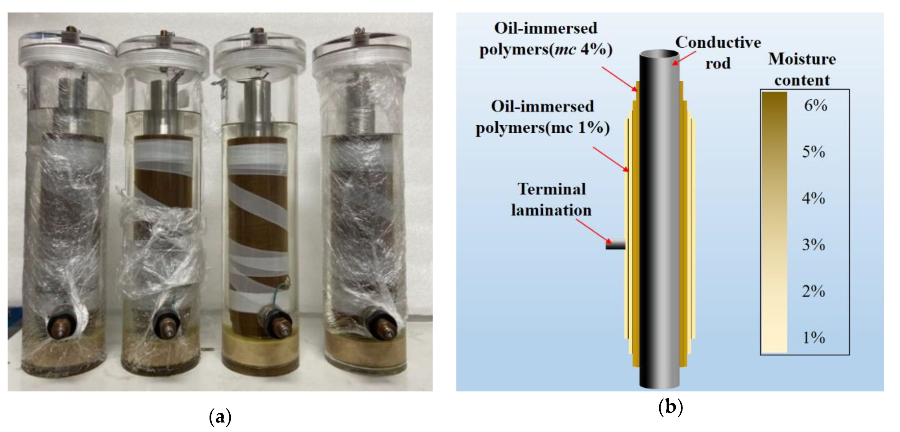 Polymers 12 01219 g002