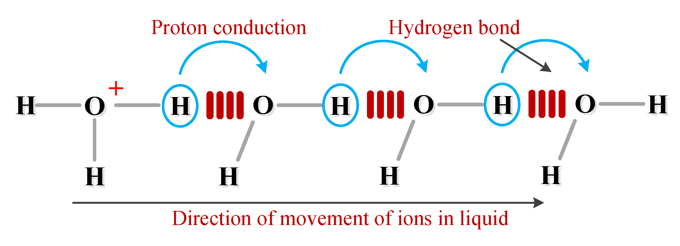Polymers 12 01219 g018