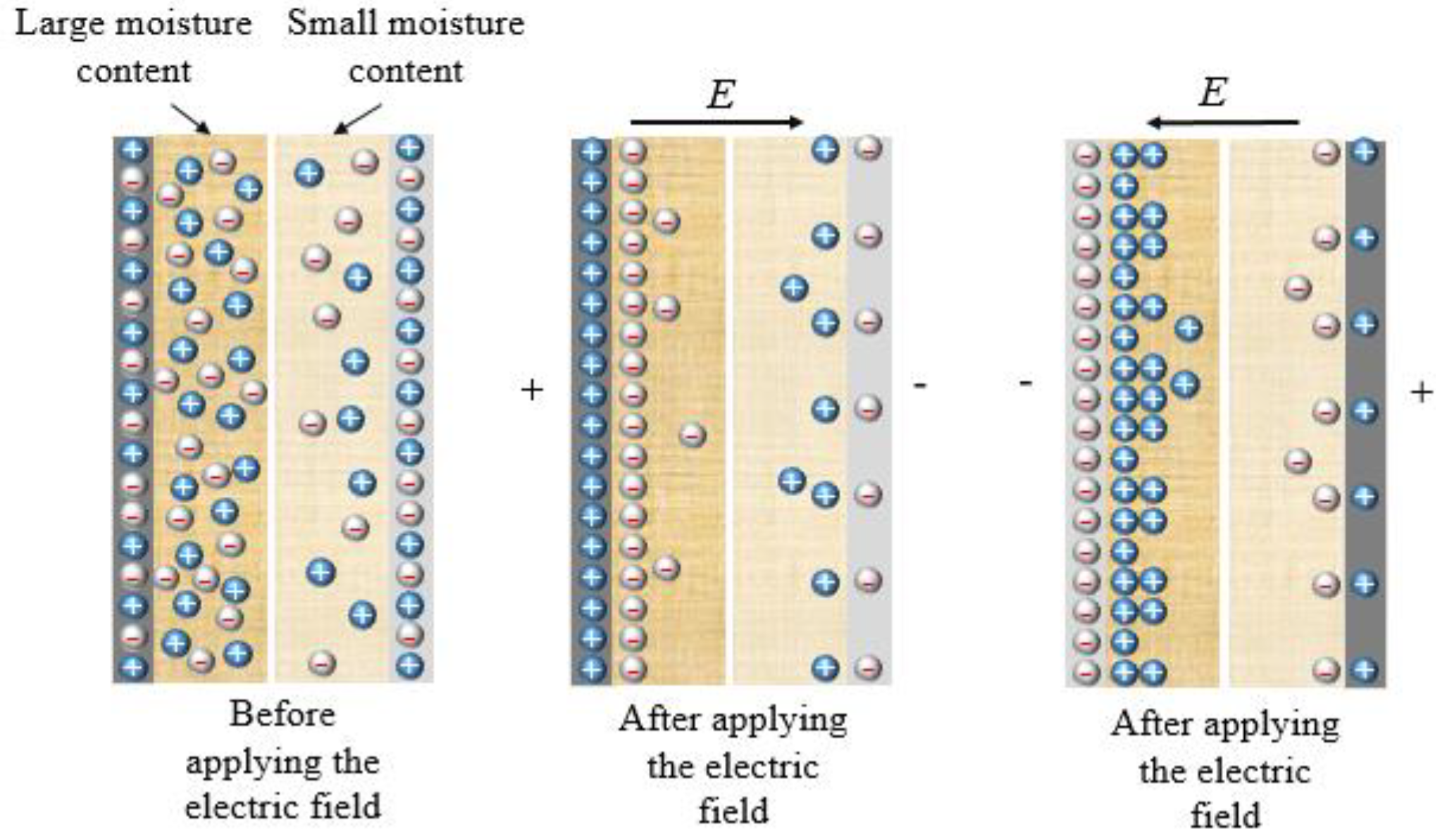 Polymers 12 01219 g019