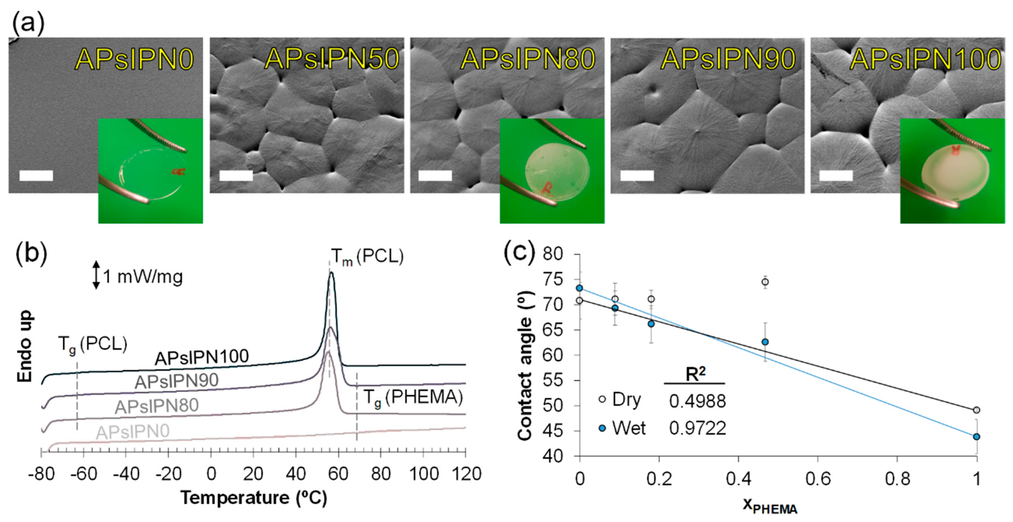 Polymers 12 01256 g001