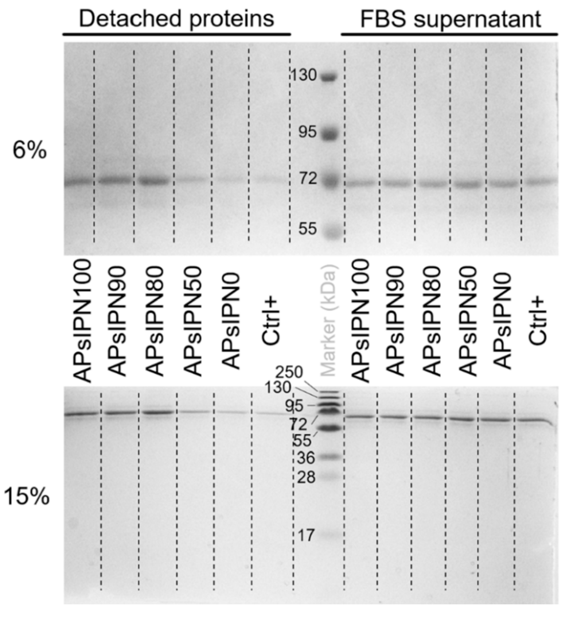 Polymers 12 01256 g0a3
