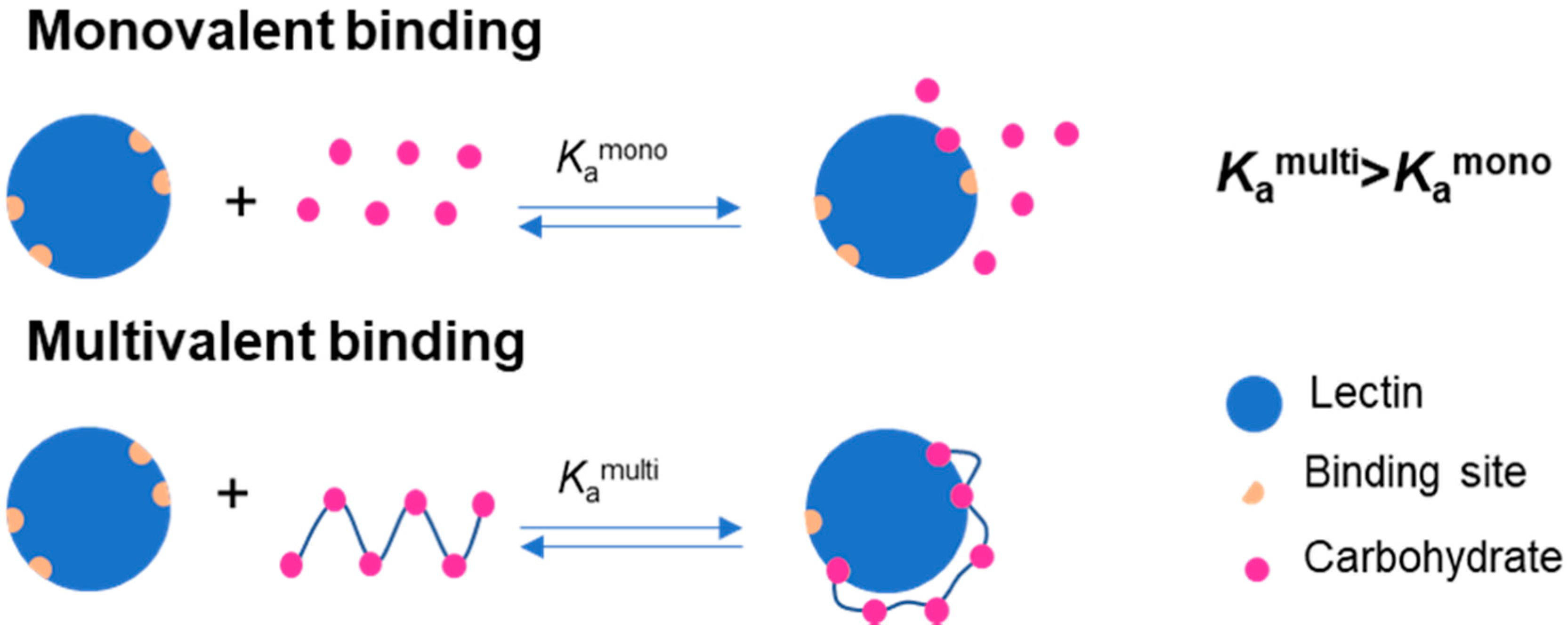 Polymers 12 01268 g001