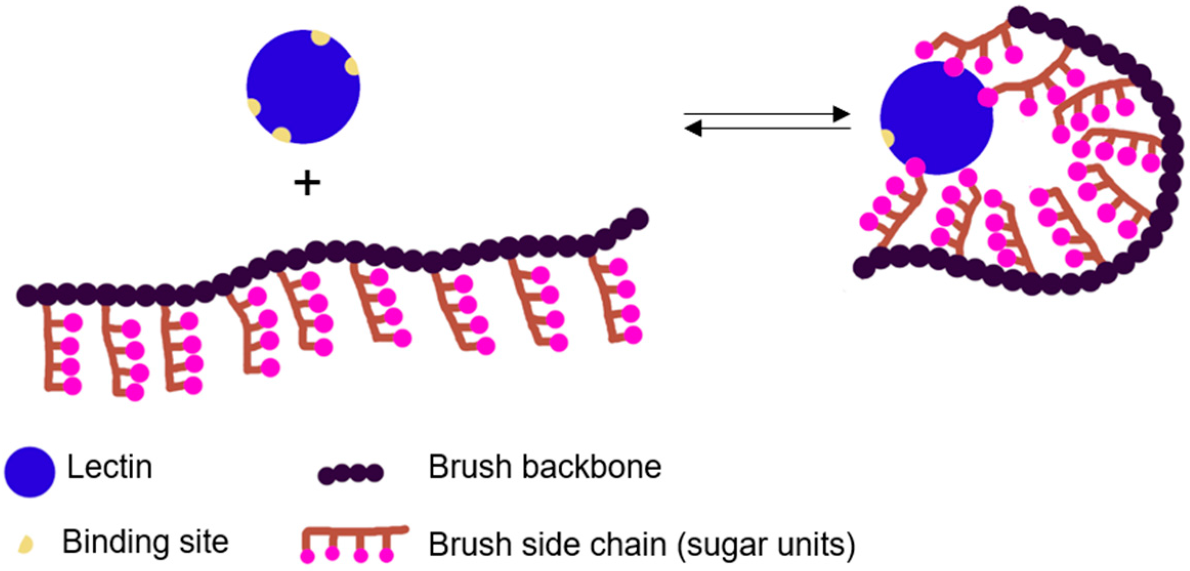 Polymers 12 01268 g002