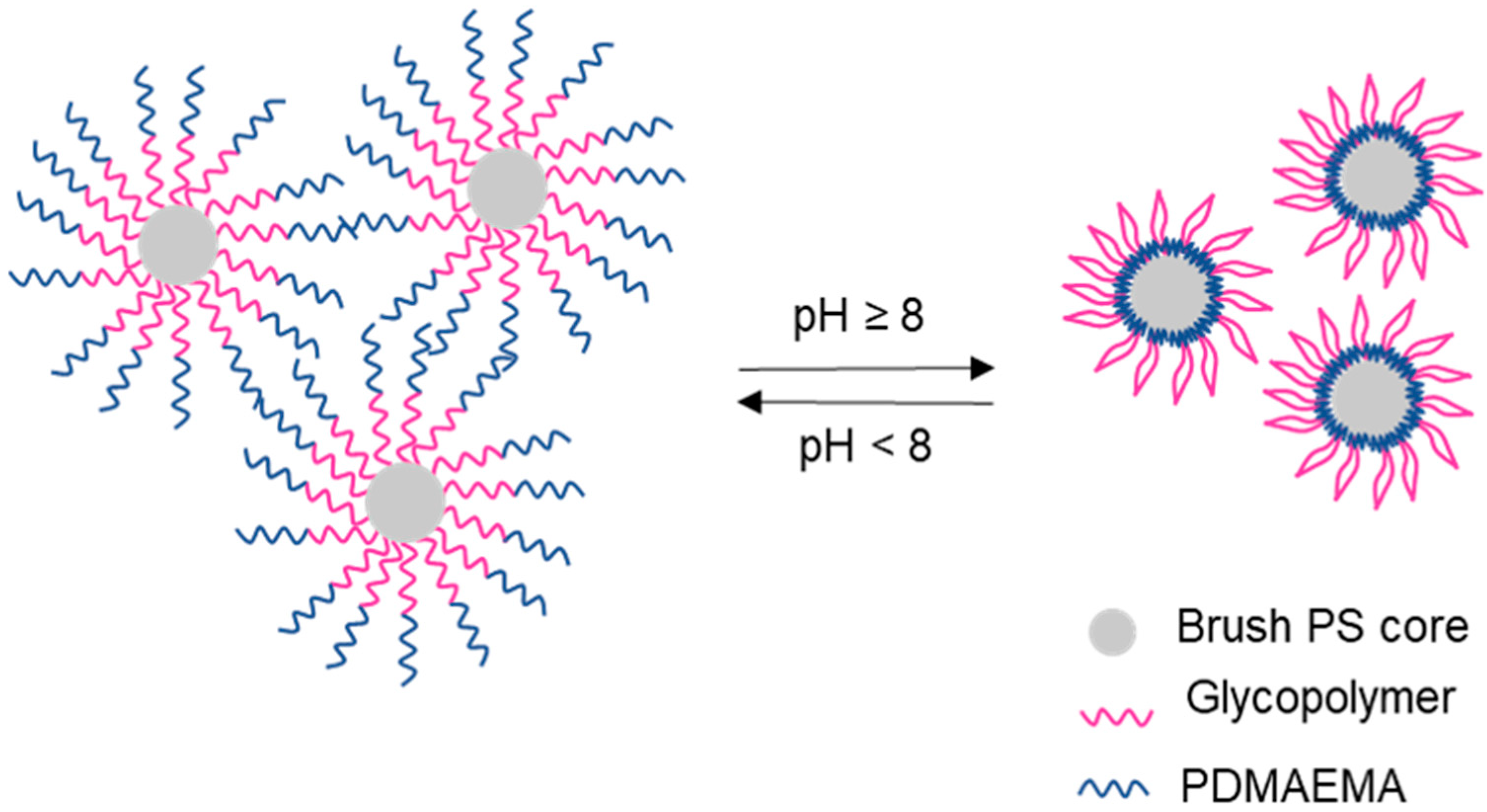 Polymers 12 01268 g011
