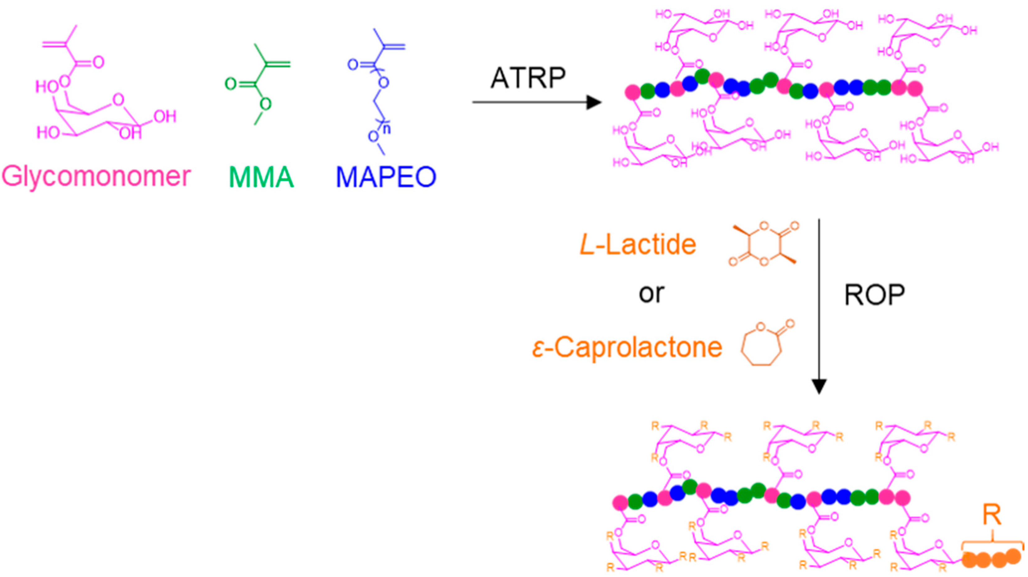 Polymers 12 01268 g012