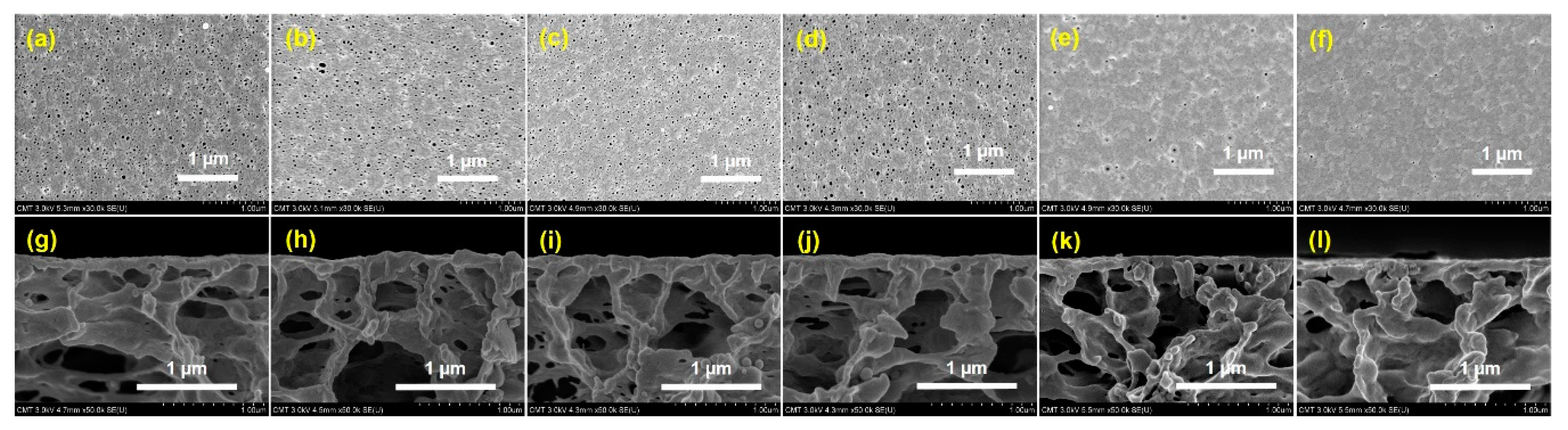 Polymers 12 01303 g002 Polymers 12 01303 g002