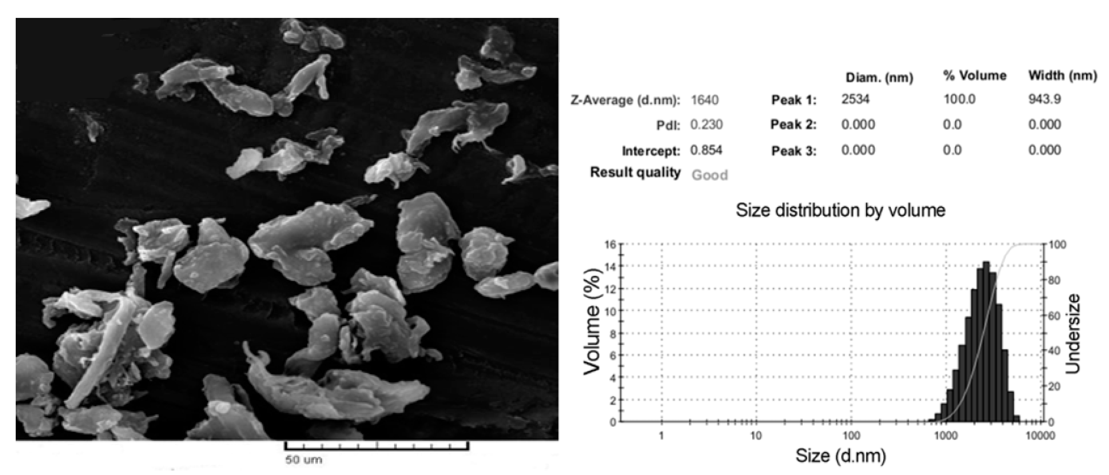 Polymers 12 01352 g001 Polymers 12 01352 g001