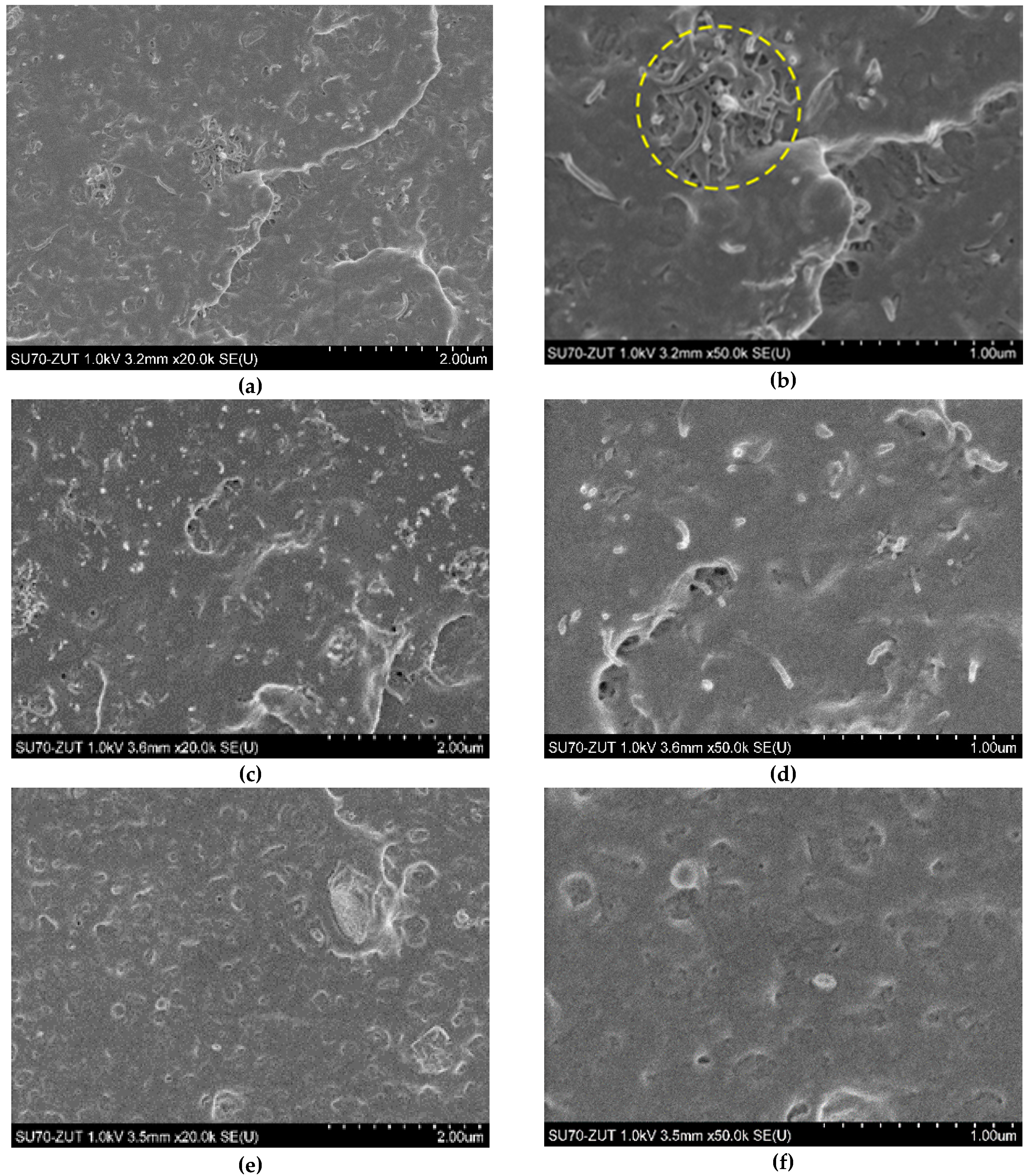 Polymers 12 01356 g002 Polymers 12 01356 g002