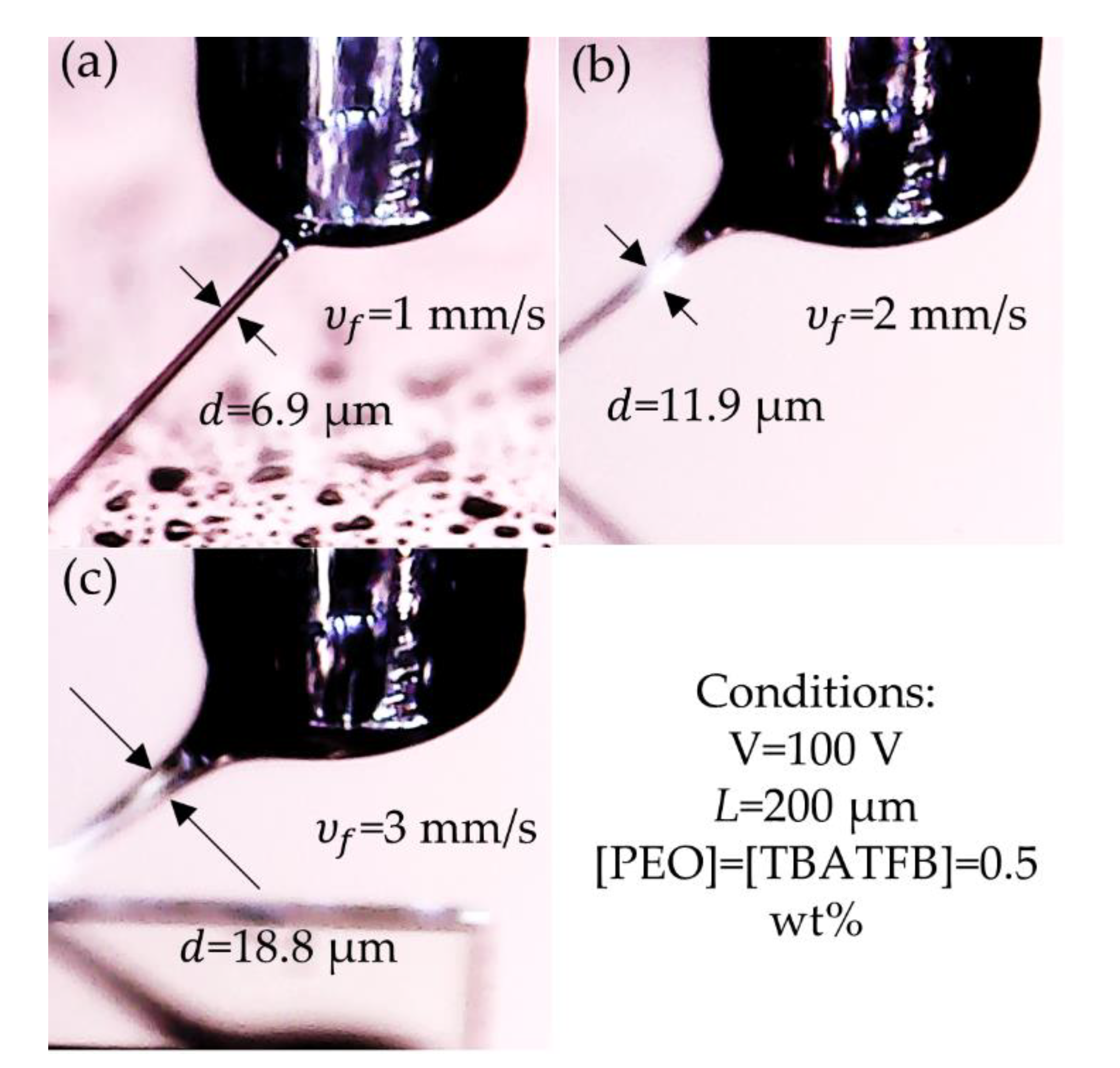 Polymers 12 01358 g007