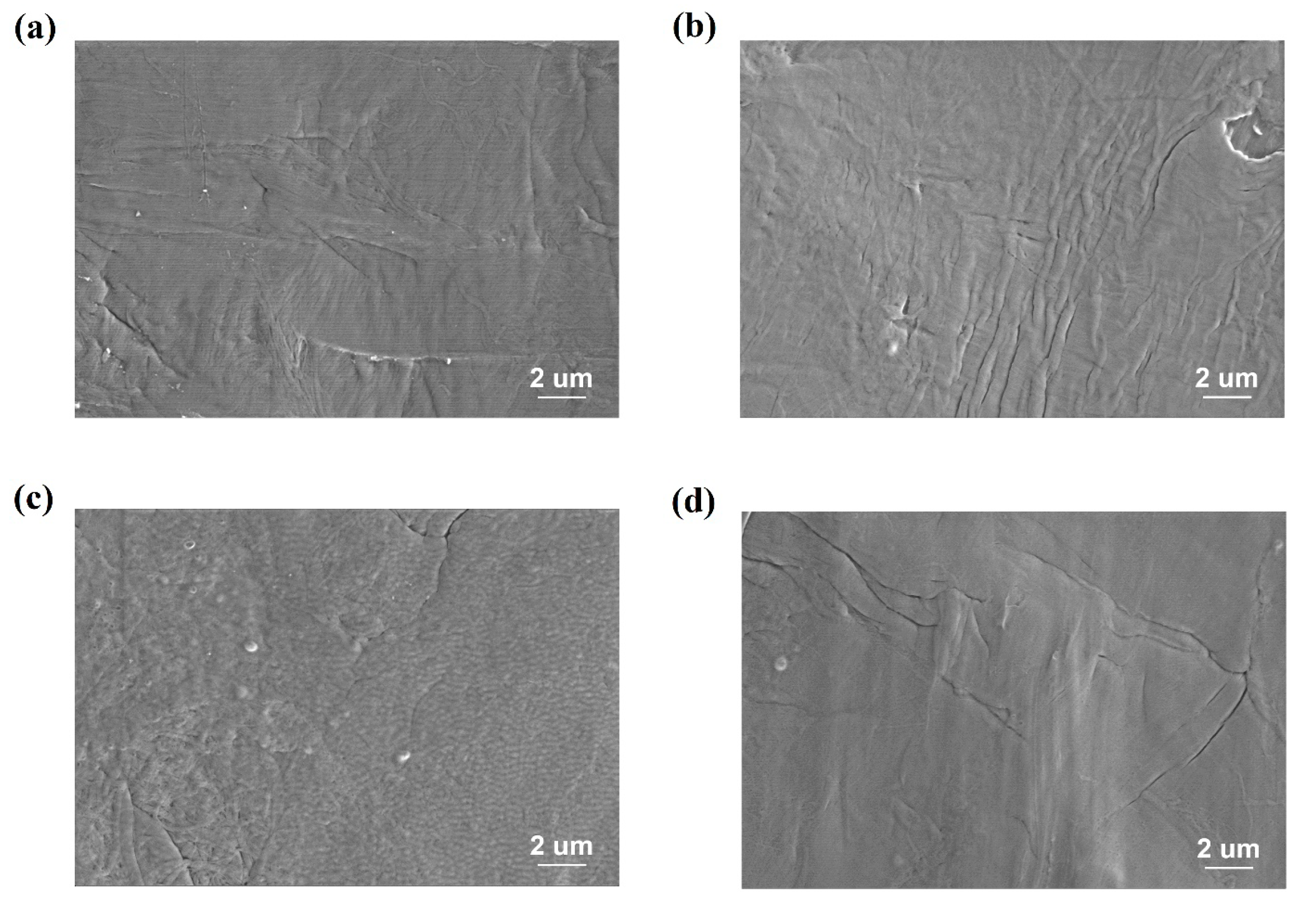 Polymers Free Full Text Effect Of Dielectric Barrier Discharge Dbd Treatment On The Dielectric Properties Of Poly Vinylidene Fluoride Pvdf Based Copolymer Html