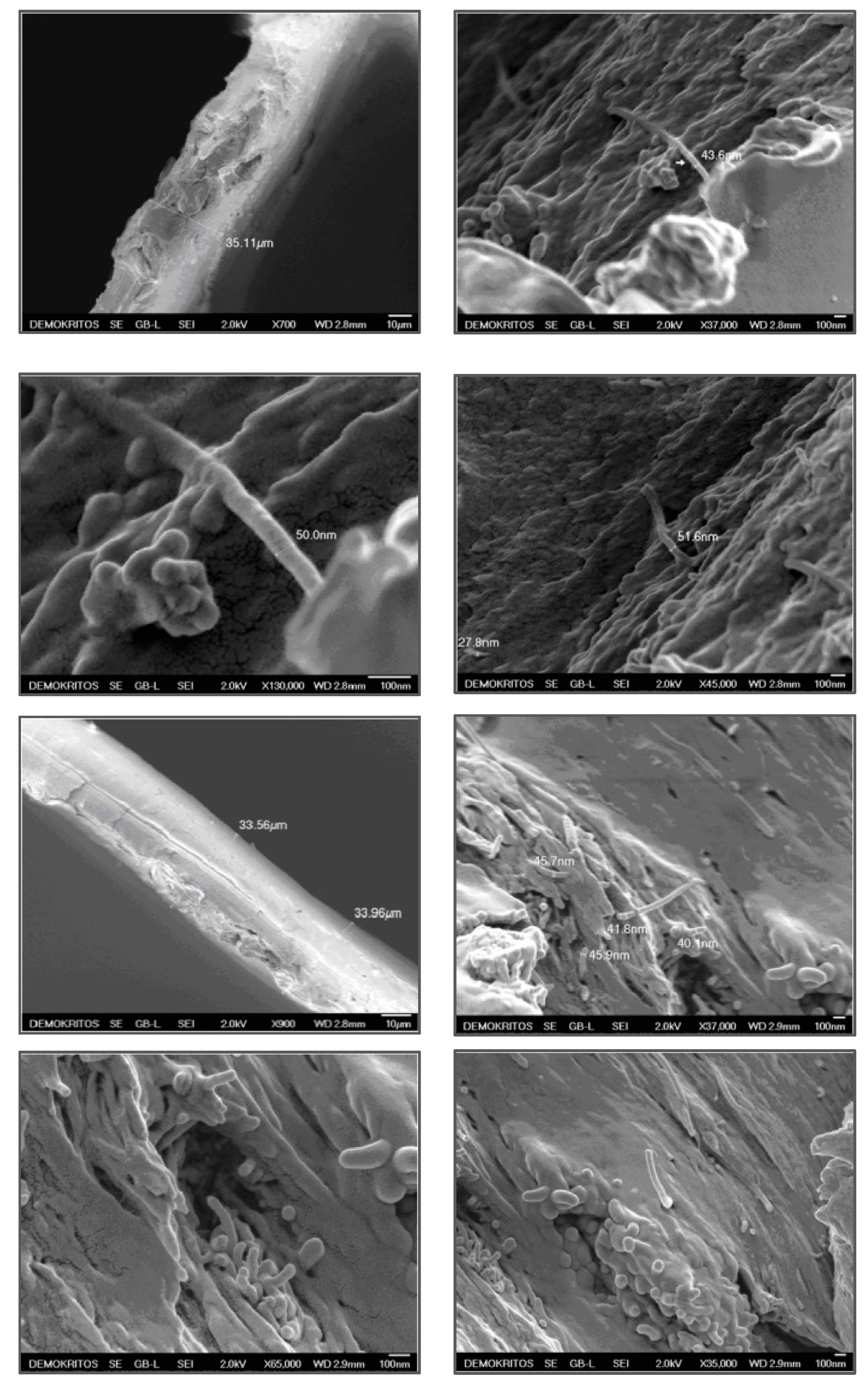 Polymers 12 01381 g004