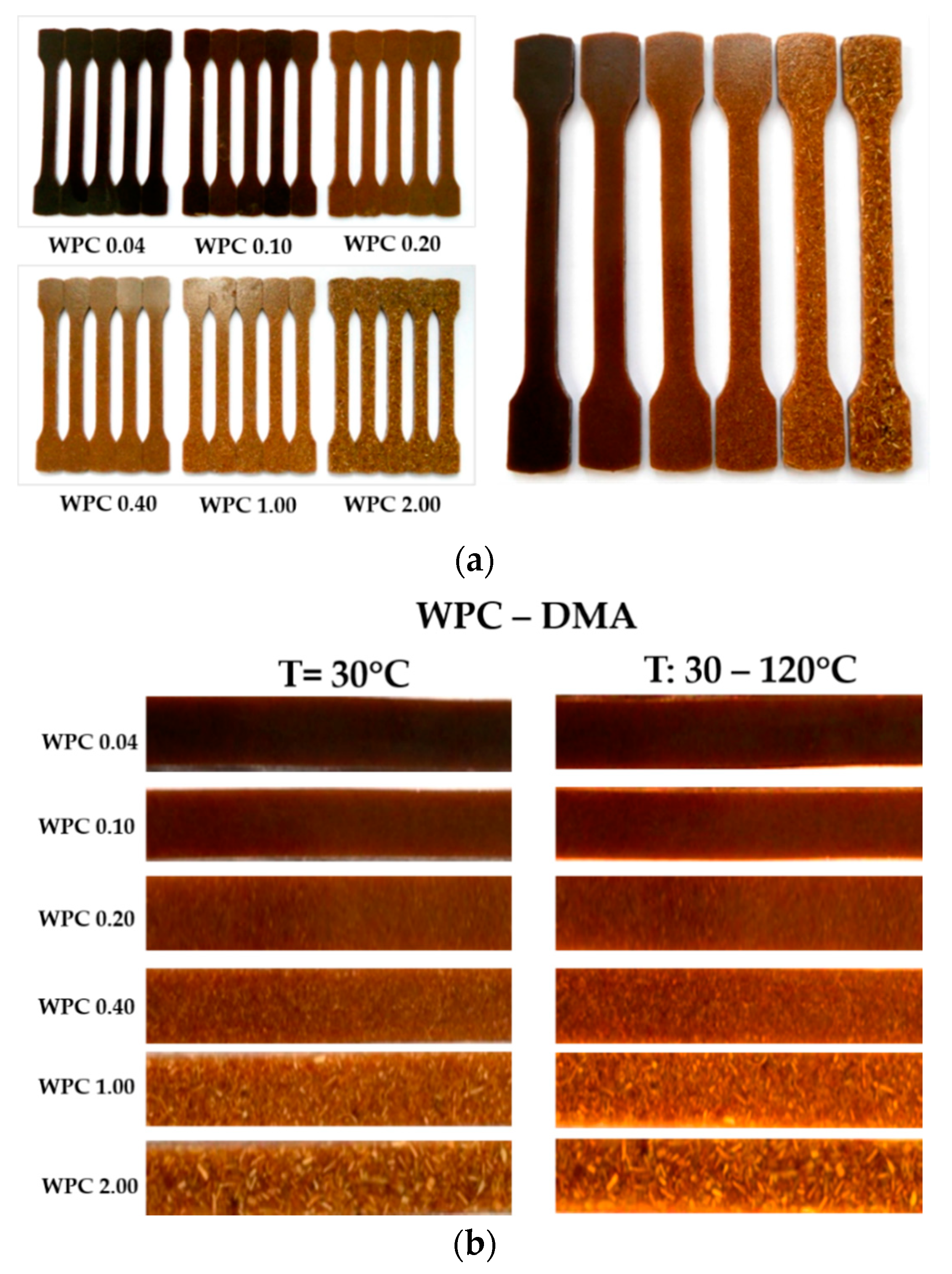 Polymers 12 01402 g001 Polymers 12 01402 g001