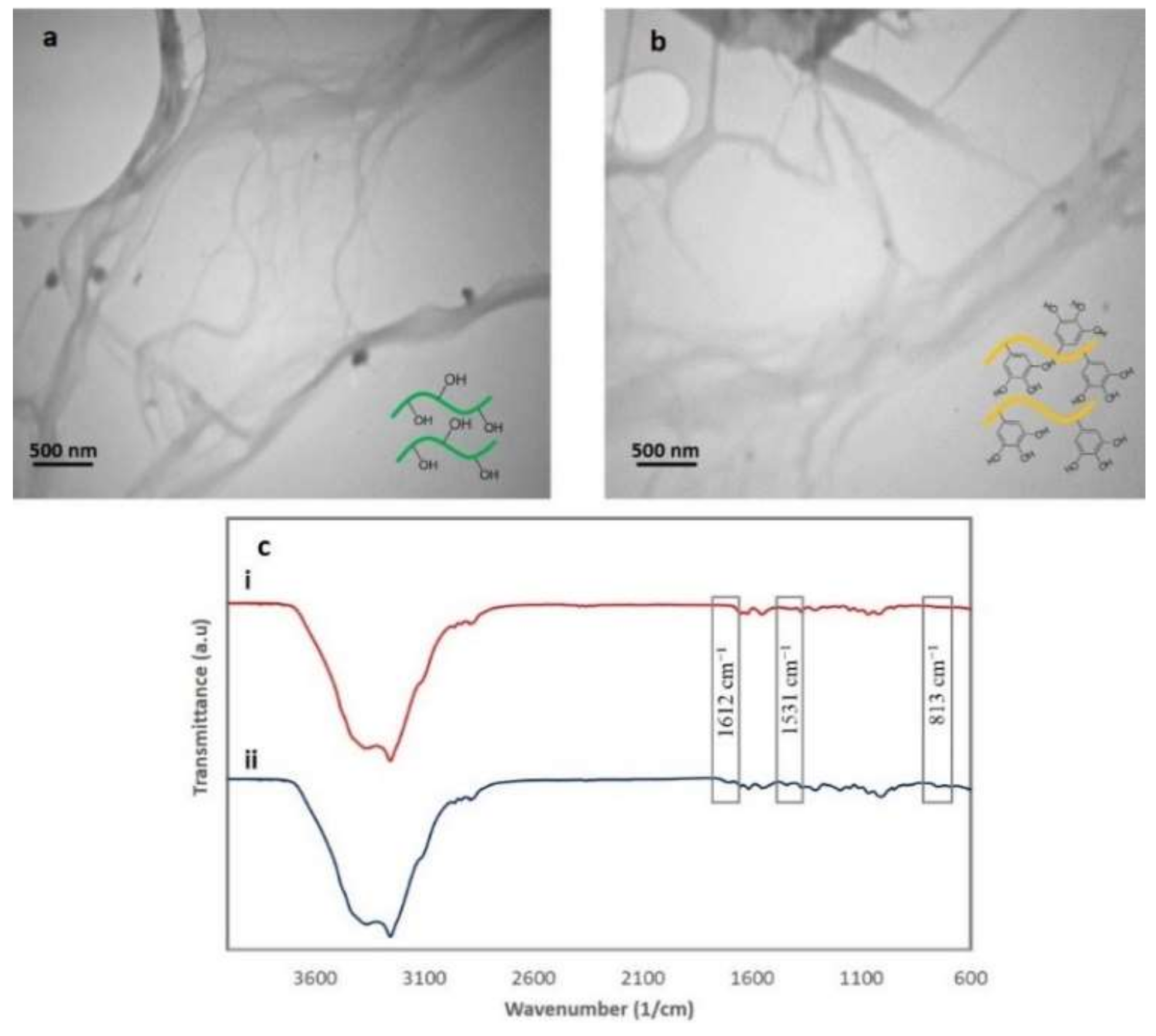 Polymers 12 01416 g001 Polymers 12 01416 g001