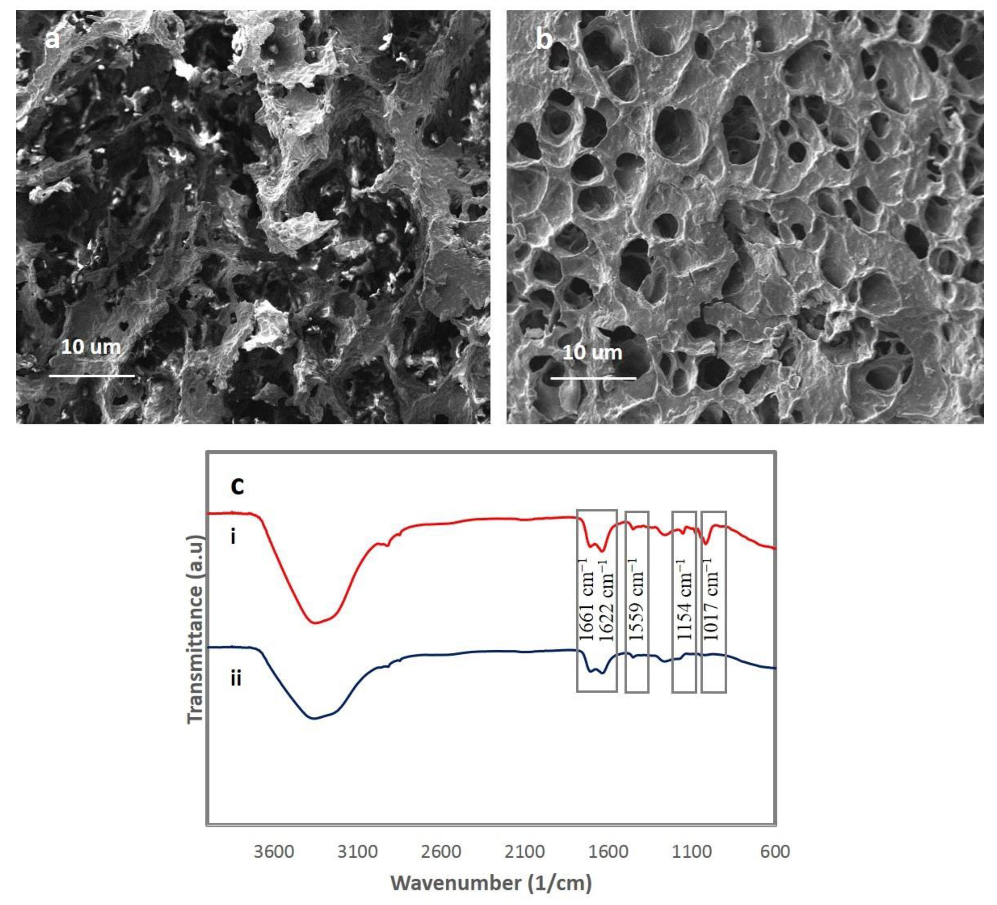 Polymers 12 01416 g003 Polymers 12 01416 g003
