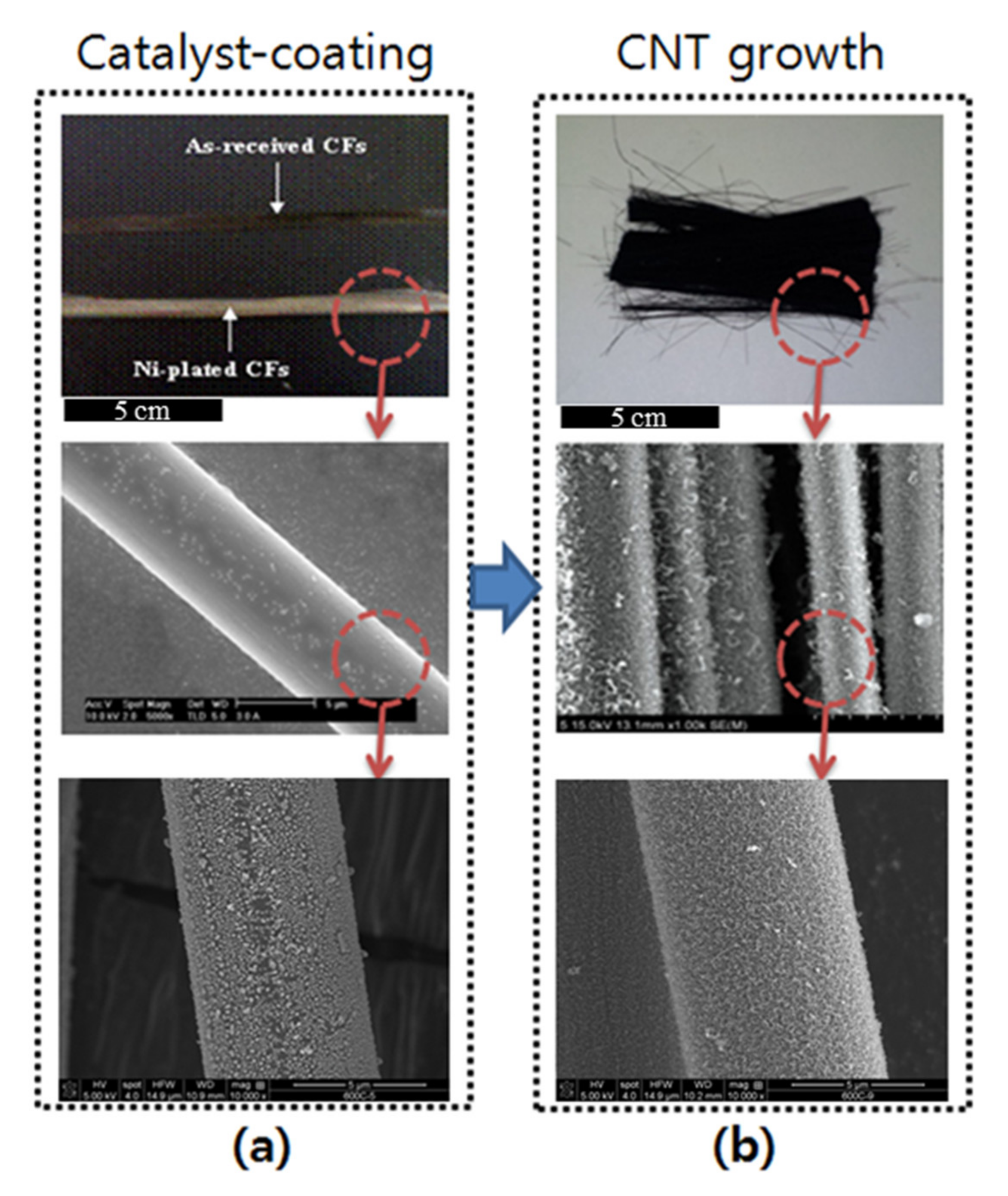 Polymers 12 01432 g001 Polymers 12 01432 g001