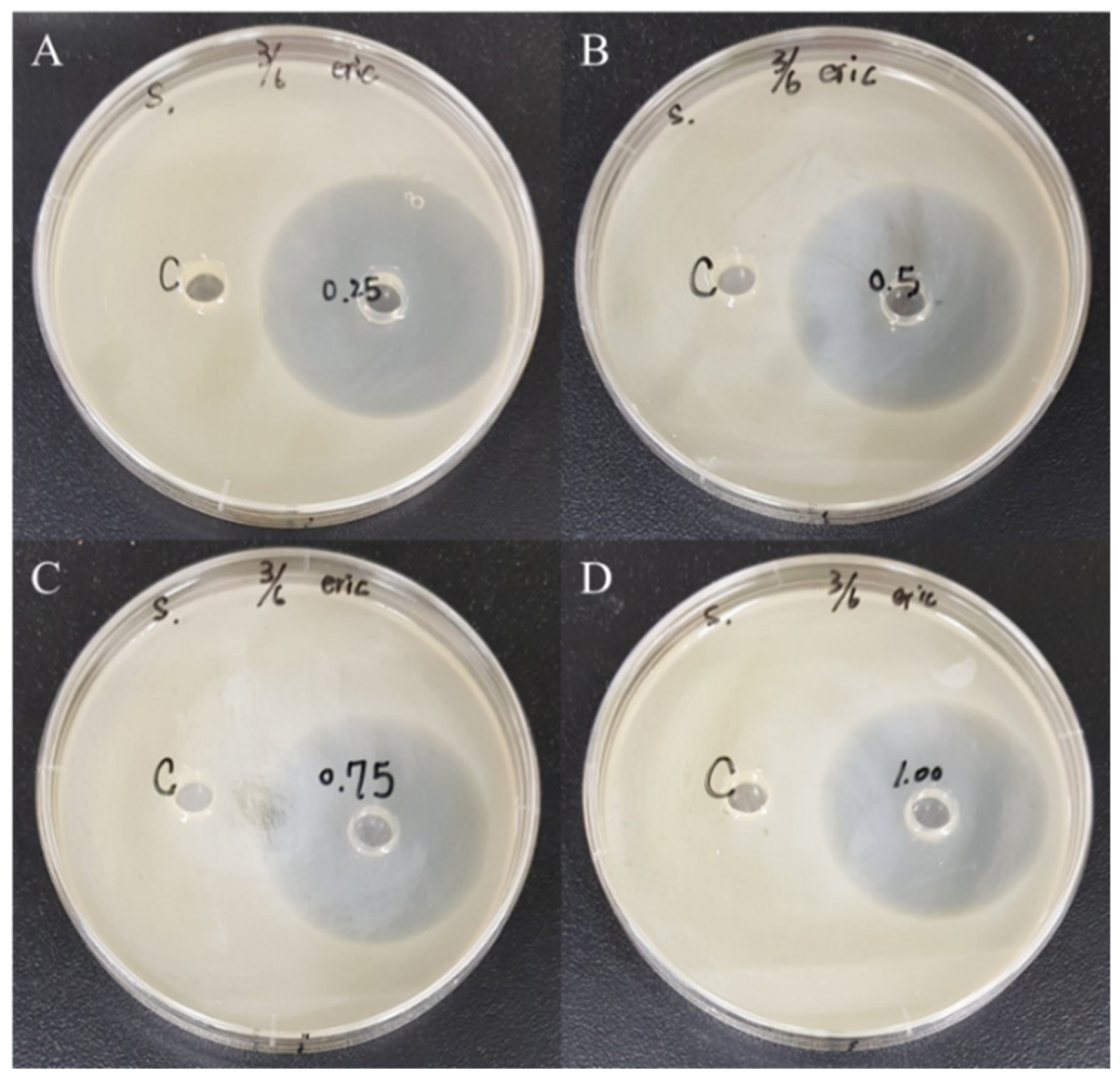 Polymers 12 01439 g007 Polymers 12 01439 g007