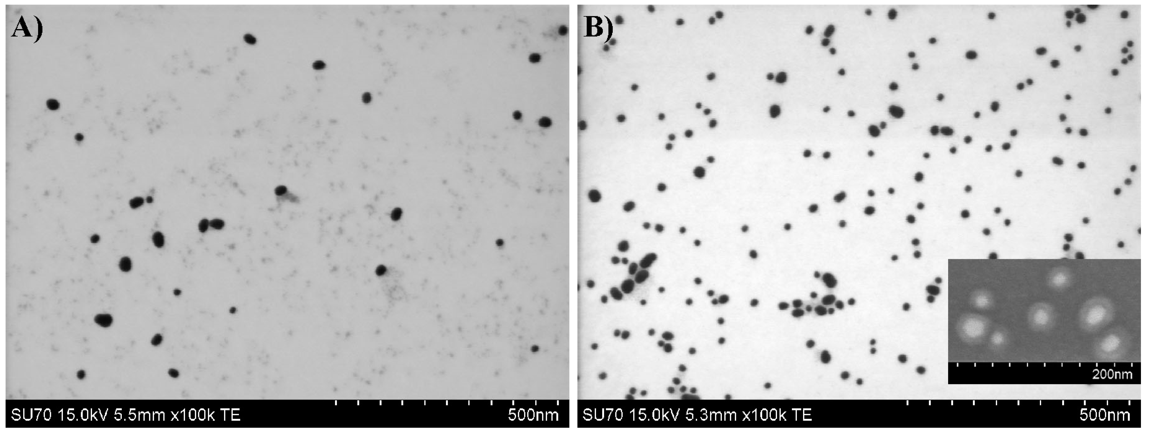 Polymers 12 01442 g004