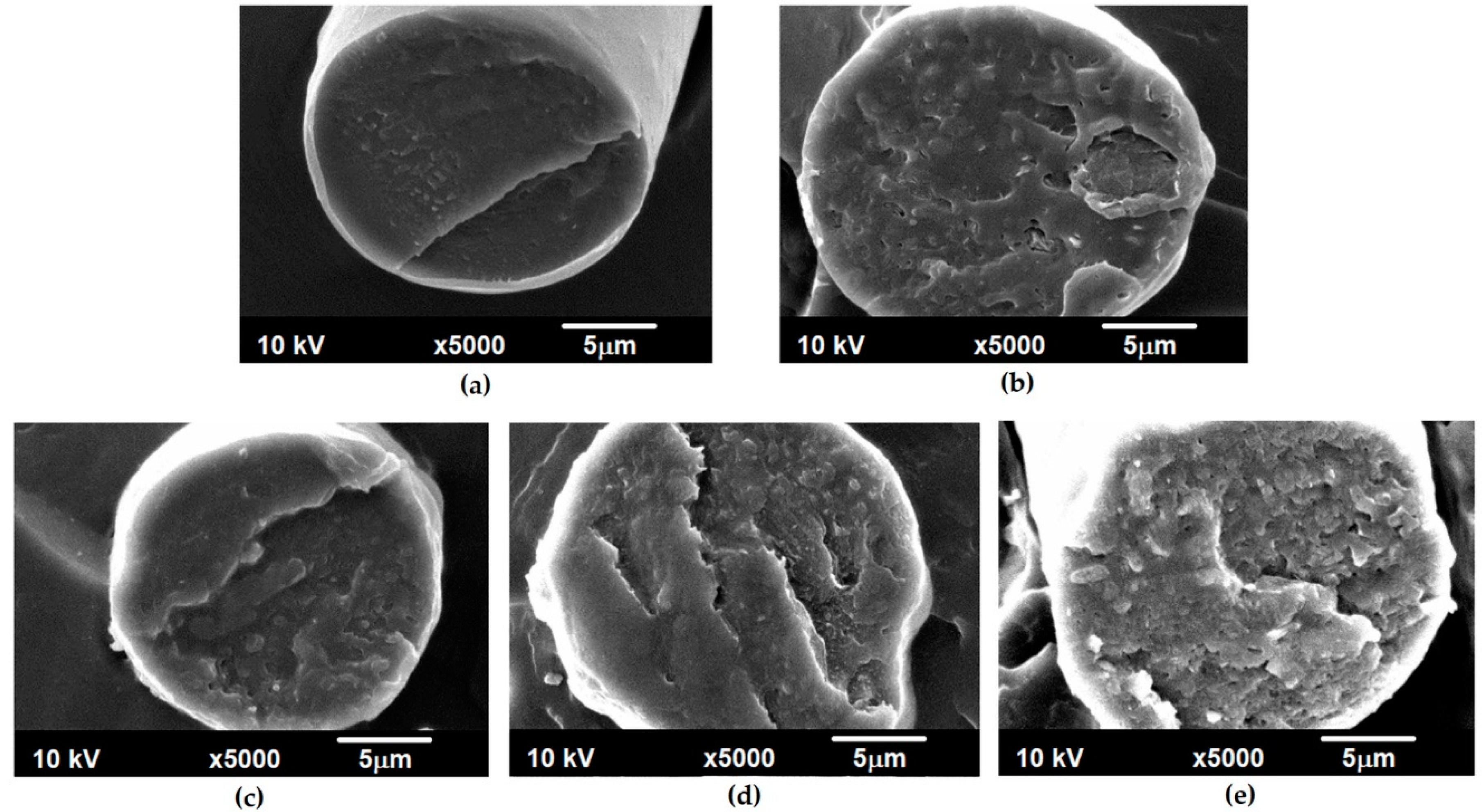 Polymers 12 01456 g002