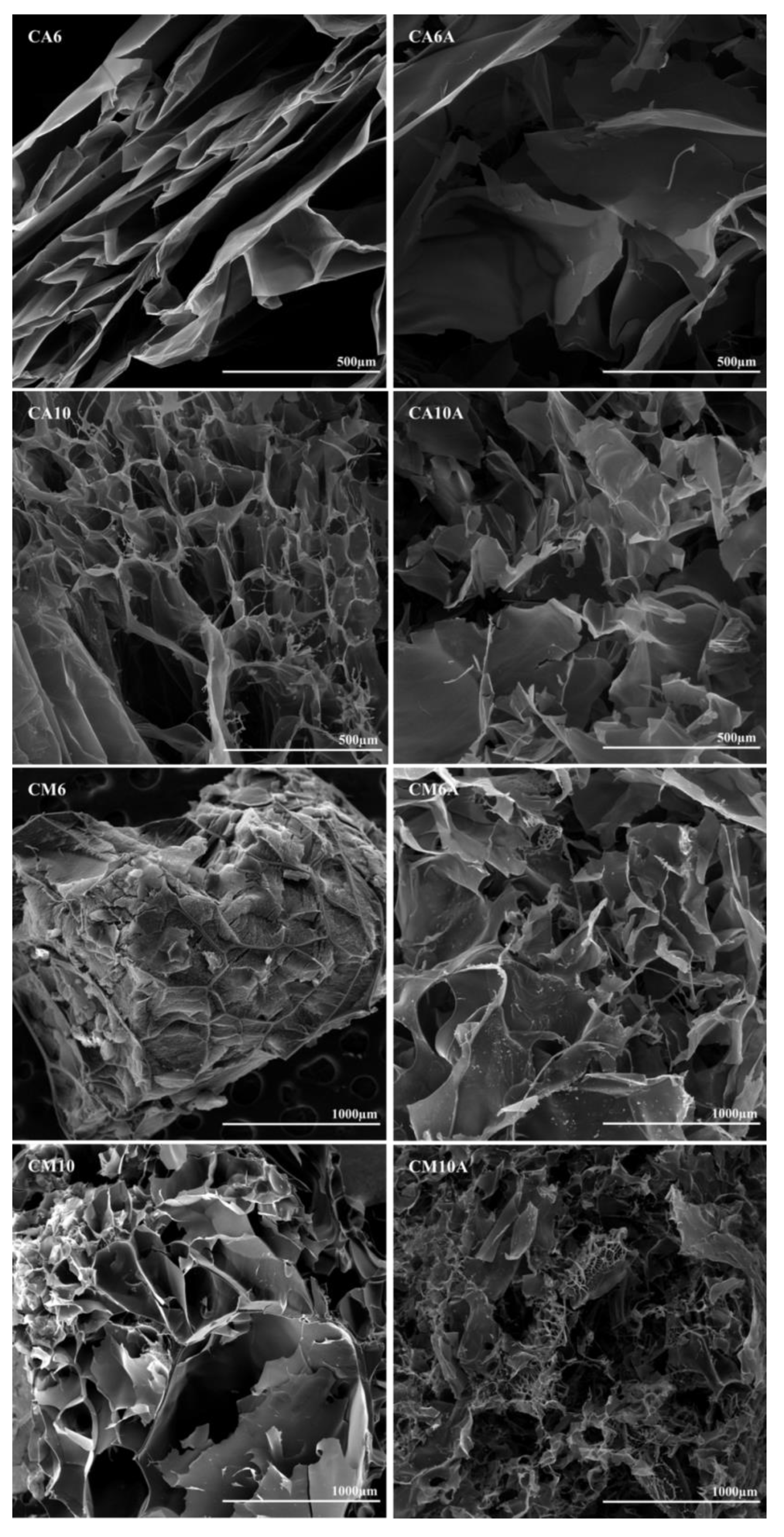 Polymers 12 01473 g004 Polymers 12 01473 g004