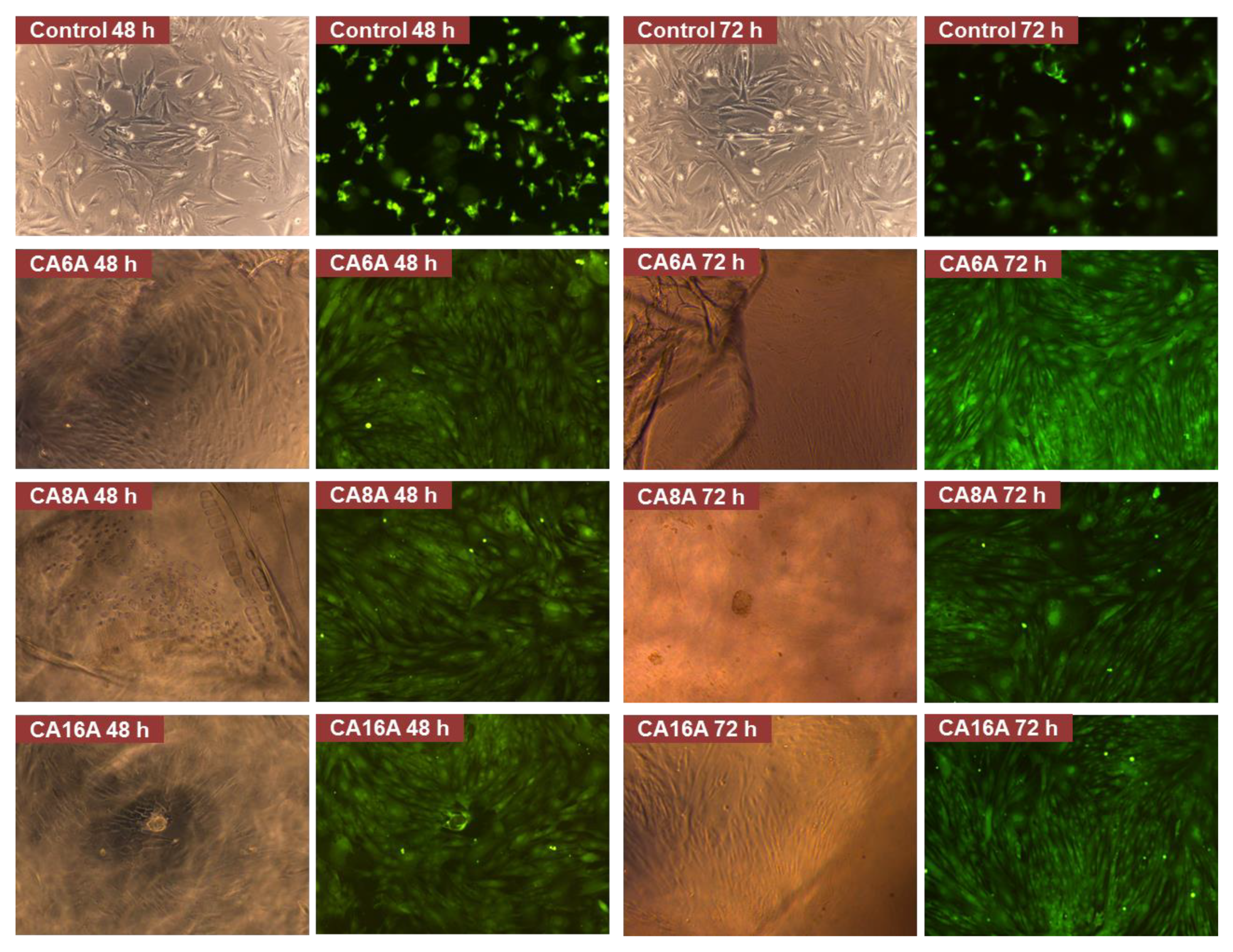 Polymers 12 01473 g009 Polymers 12 01473 g009