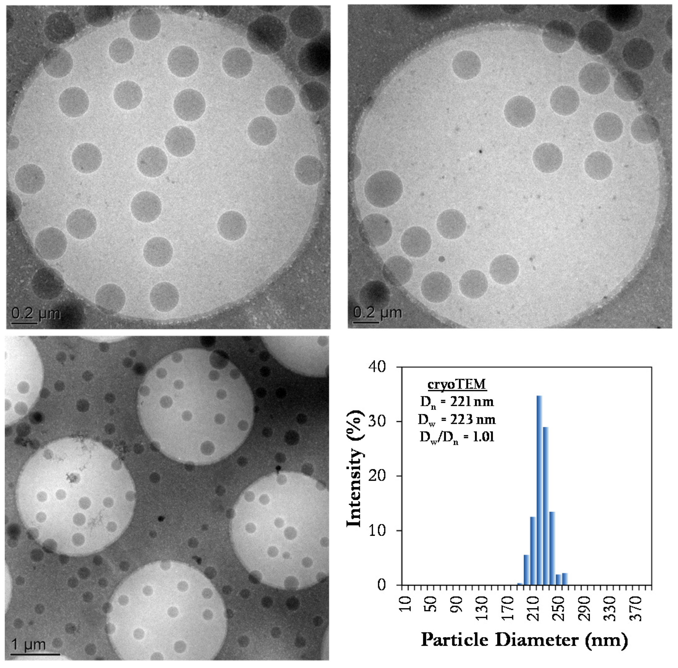 Polymers 12 01476 g004