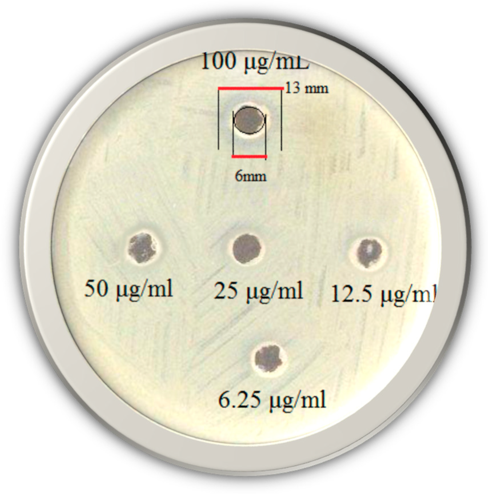 Polymers 12 01488 g007 Polymers 12 01488 g007