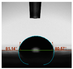 Polymers 12 01494 i021