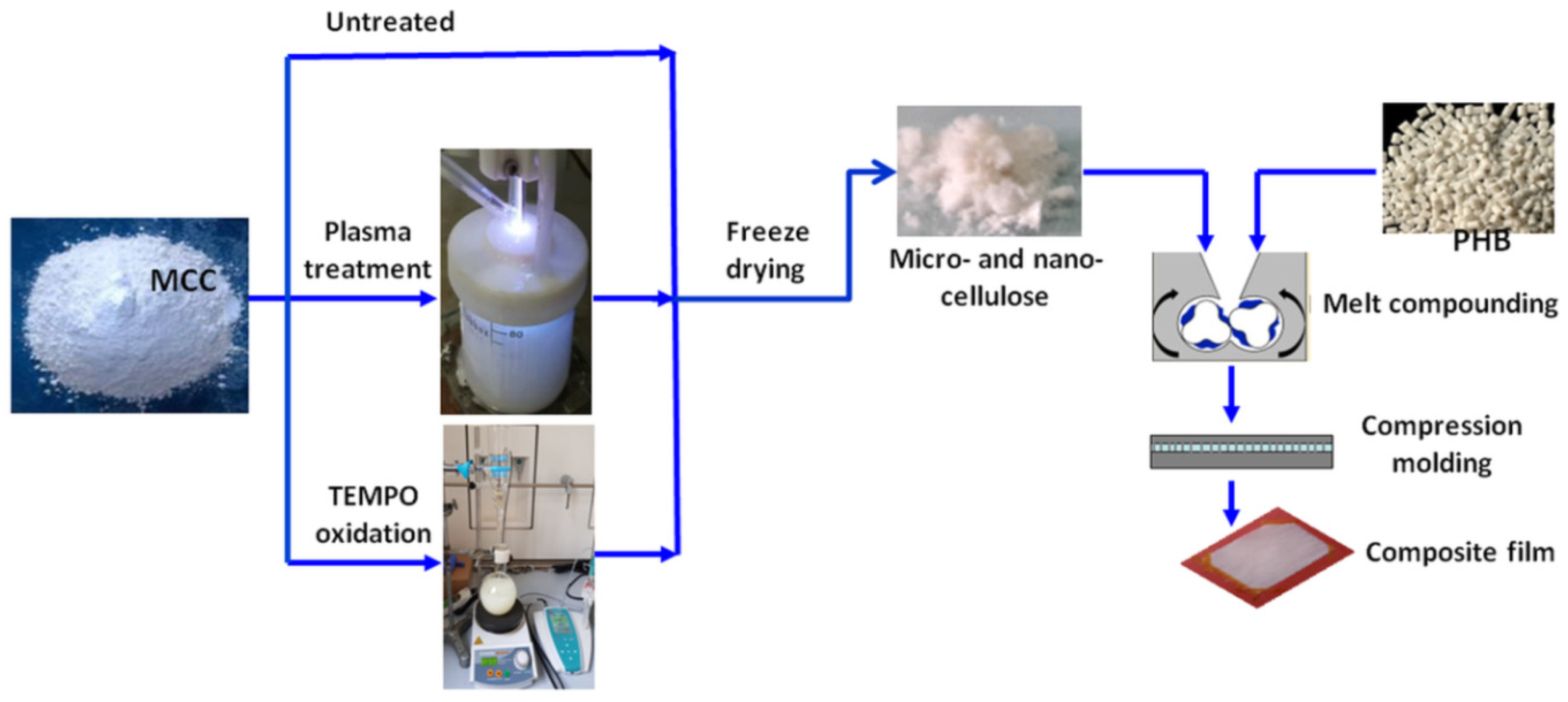 Polymers 12 01510 g002