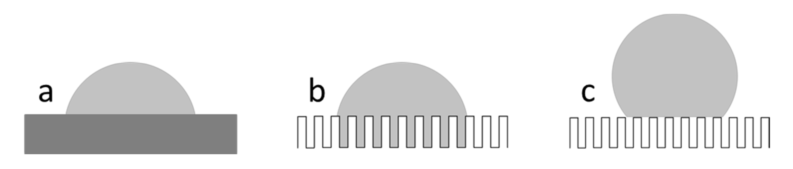 Polymers 12 01528 g001