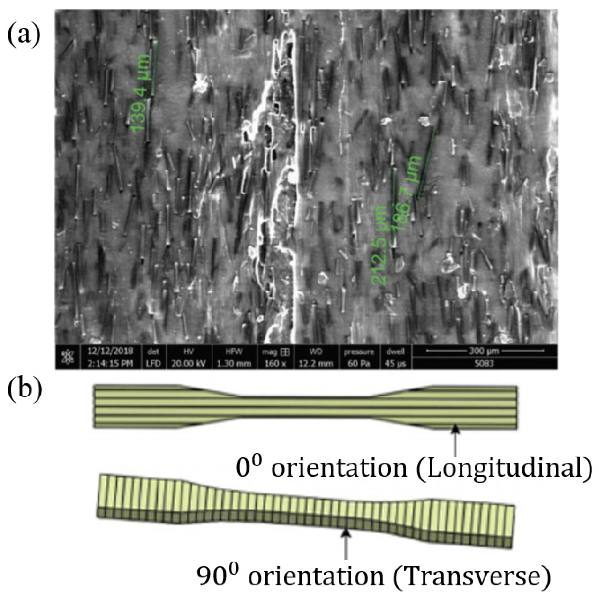 Polymers 12 01529 g007 Polymers 12 01529 g007