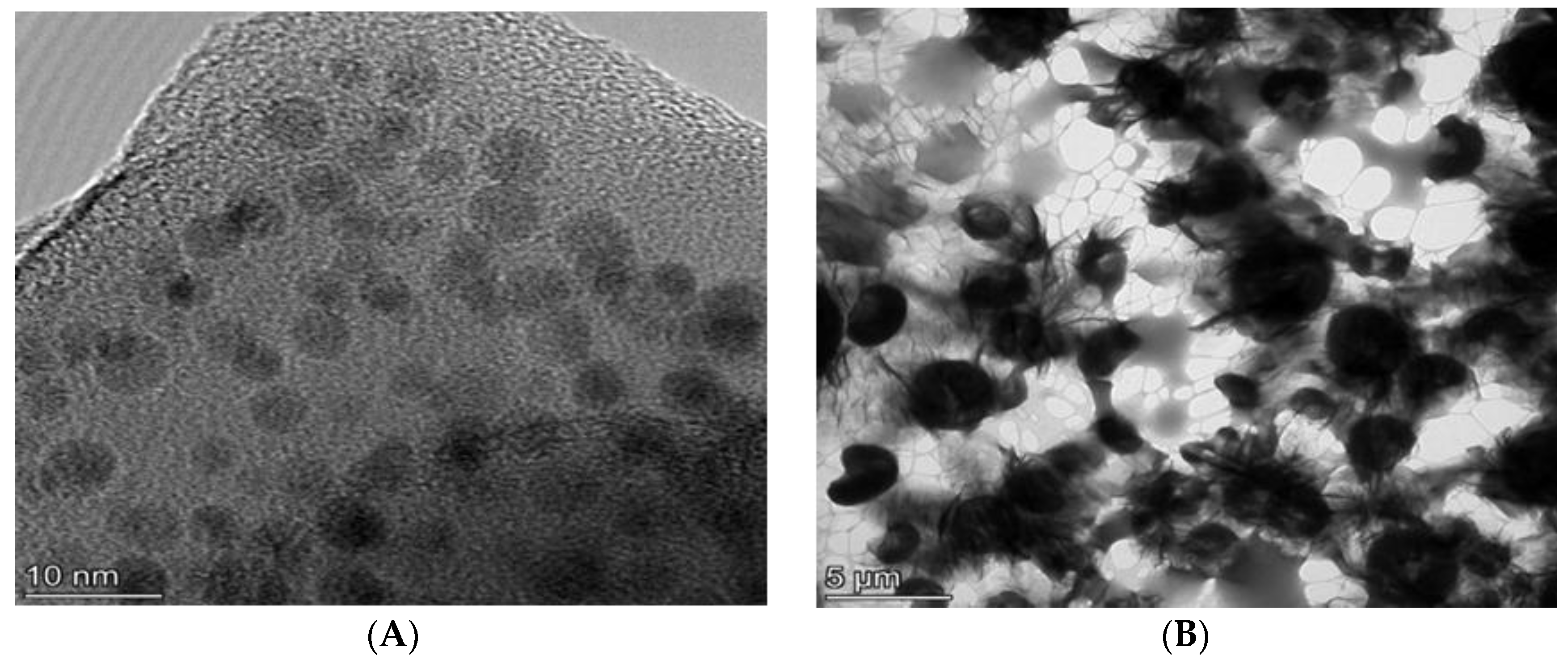 Polymers 12 01555 g007 Polymers 12 01555 g007