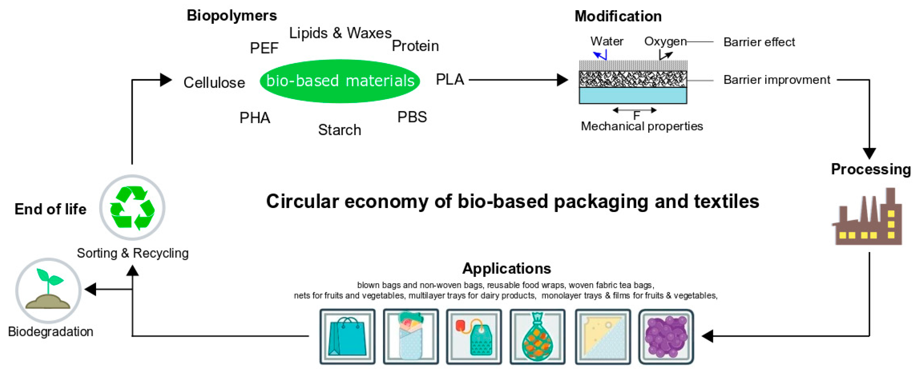 Polymers | Free Full-Text | Bio-Based Packaging: Materials, Modifications,  Industrial Applications and Sustainability