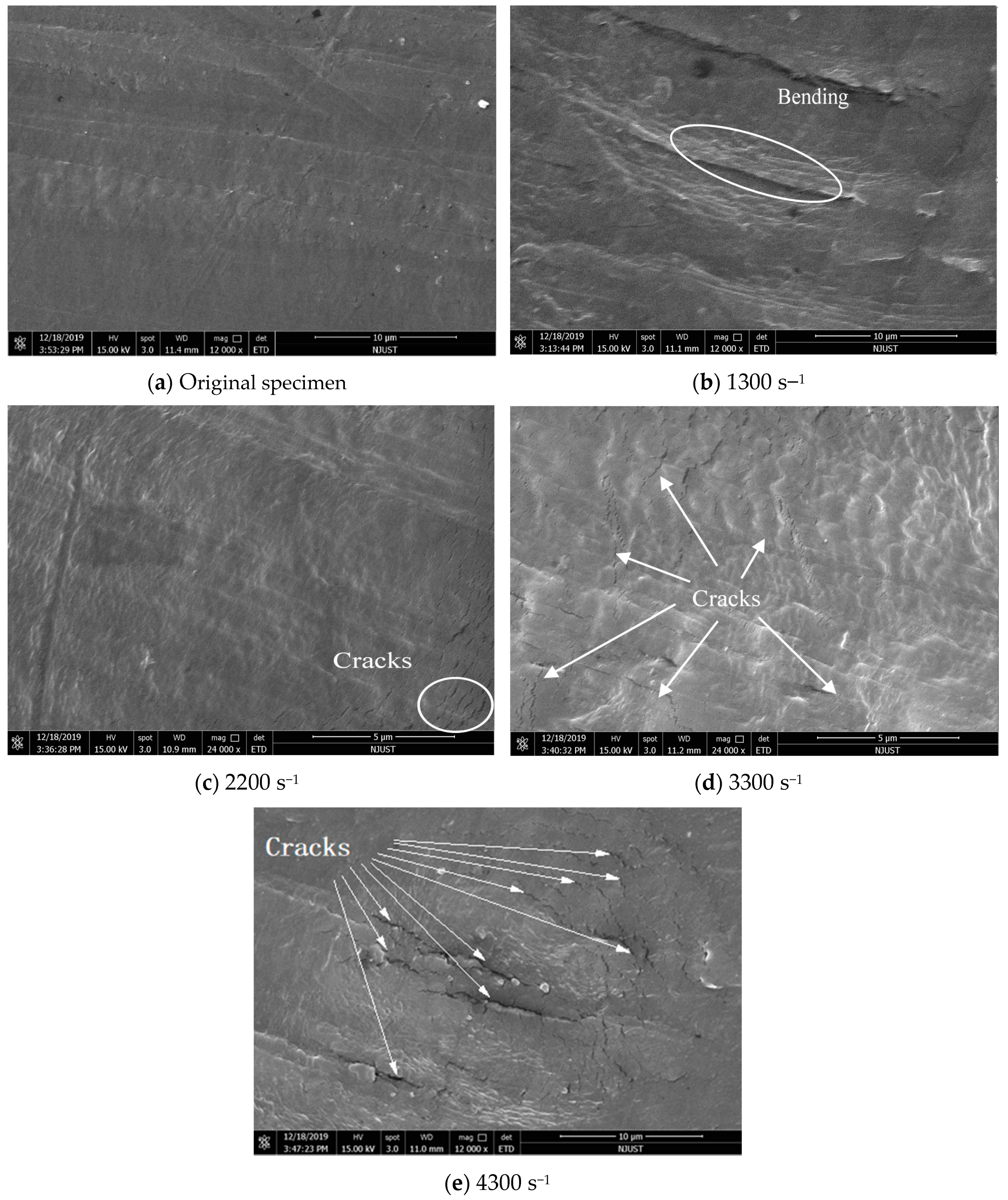 Polymers 12 01561 g006
